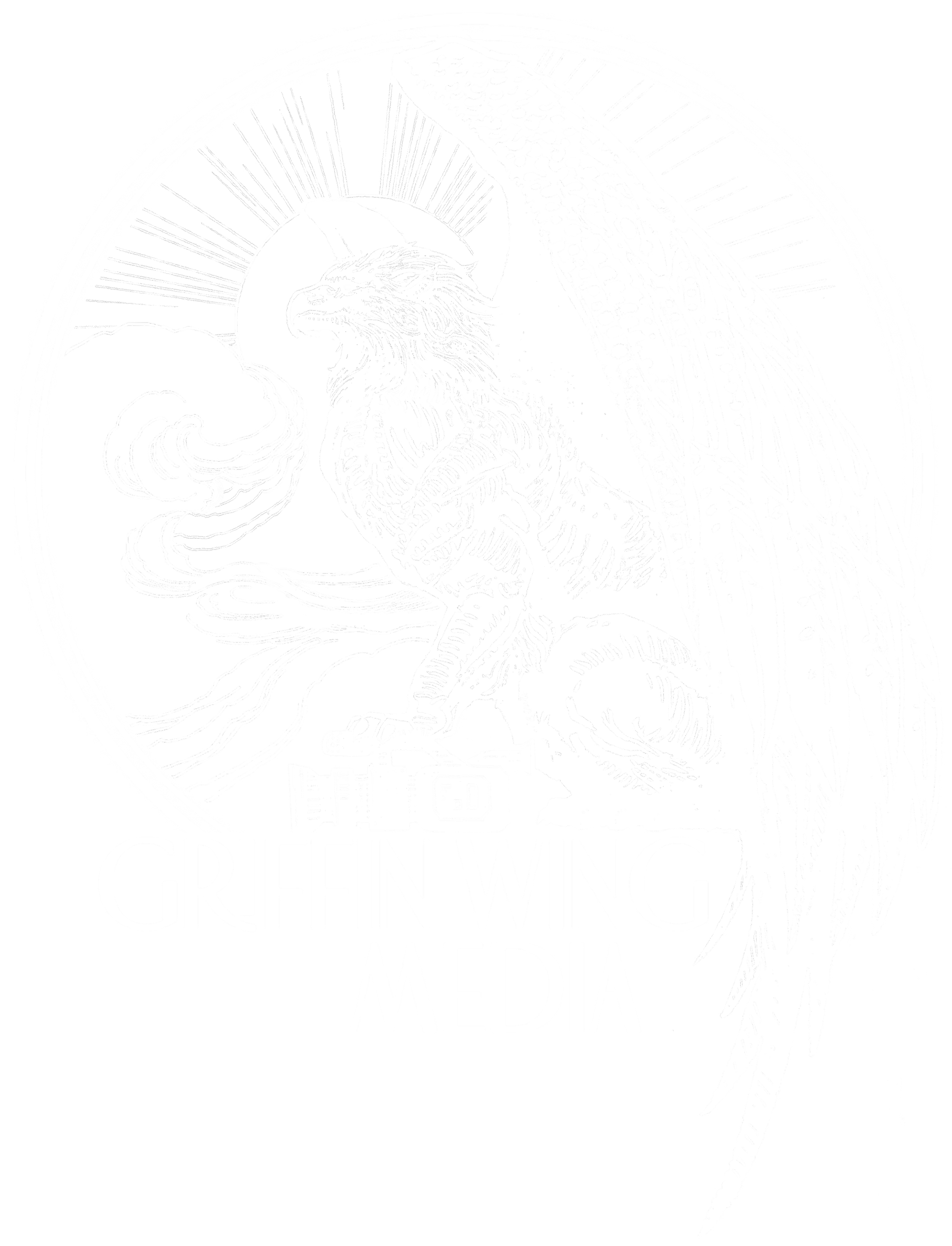 A black and white graphic logo of a fierce eagle with a prominent beak and sharp talons, with the text "GREAT WING MEDIA" below it.