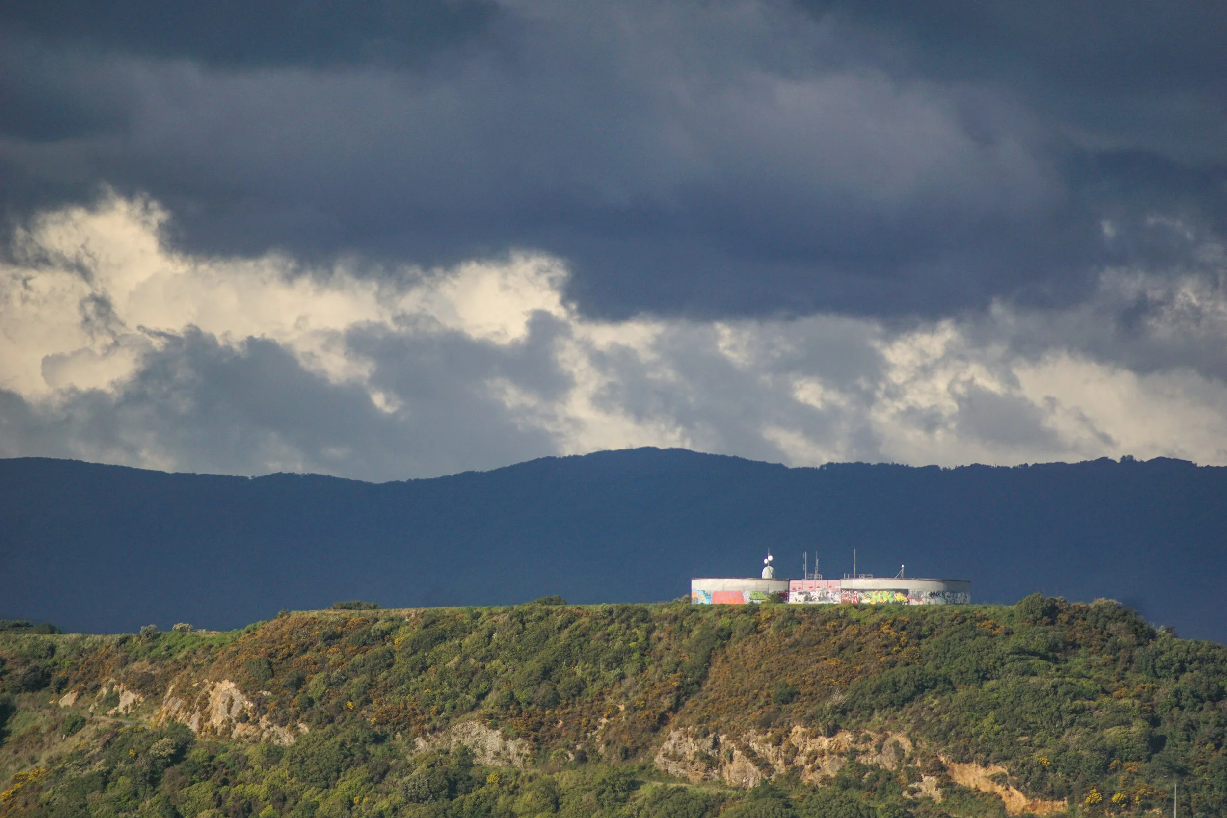 DSC04414-2.jpg
