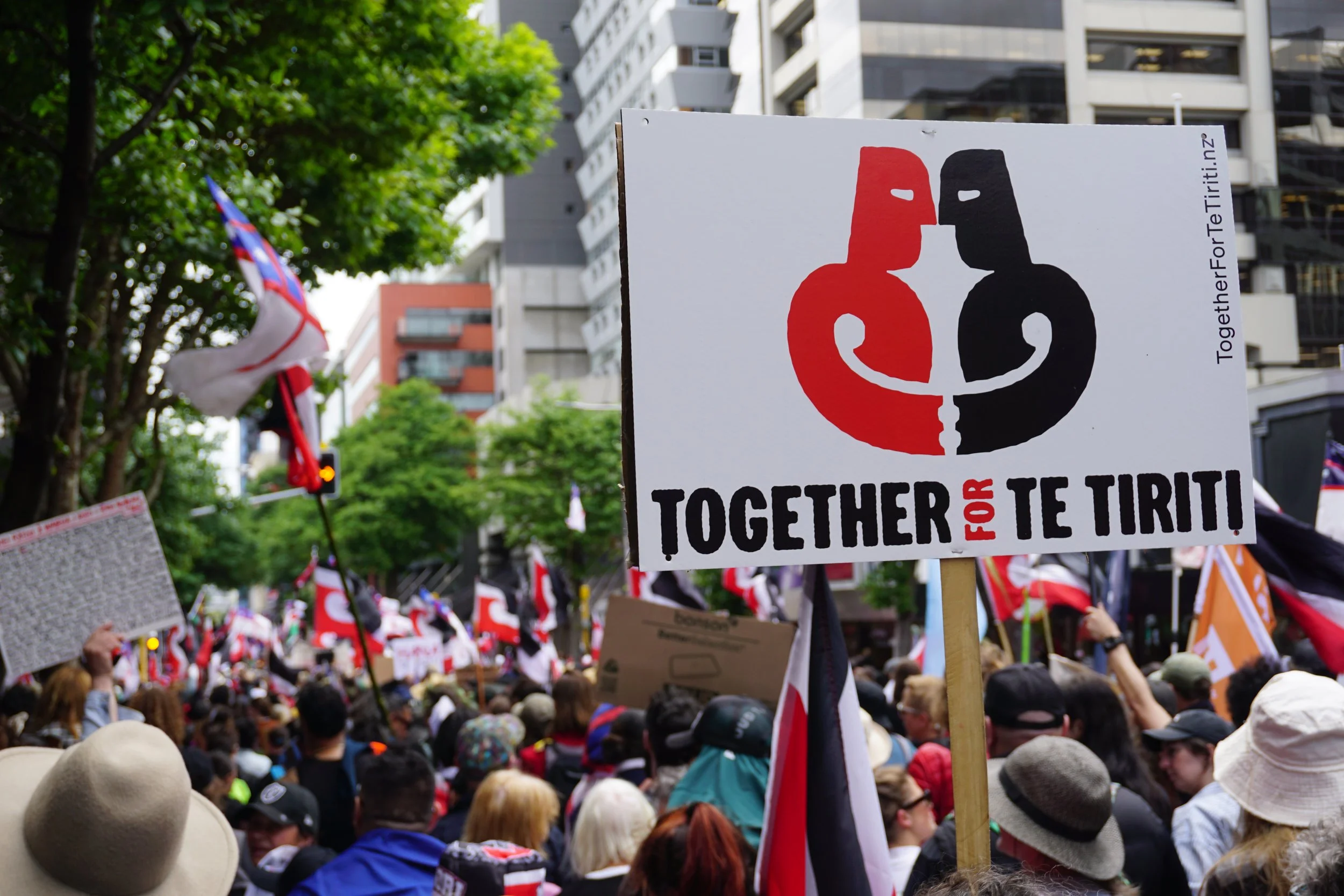 Protest crowd with signs including one reading "TOGETHER FOR TE TIRITI" in an urban setting with trees and tall buildings