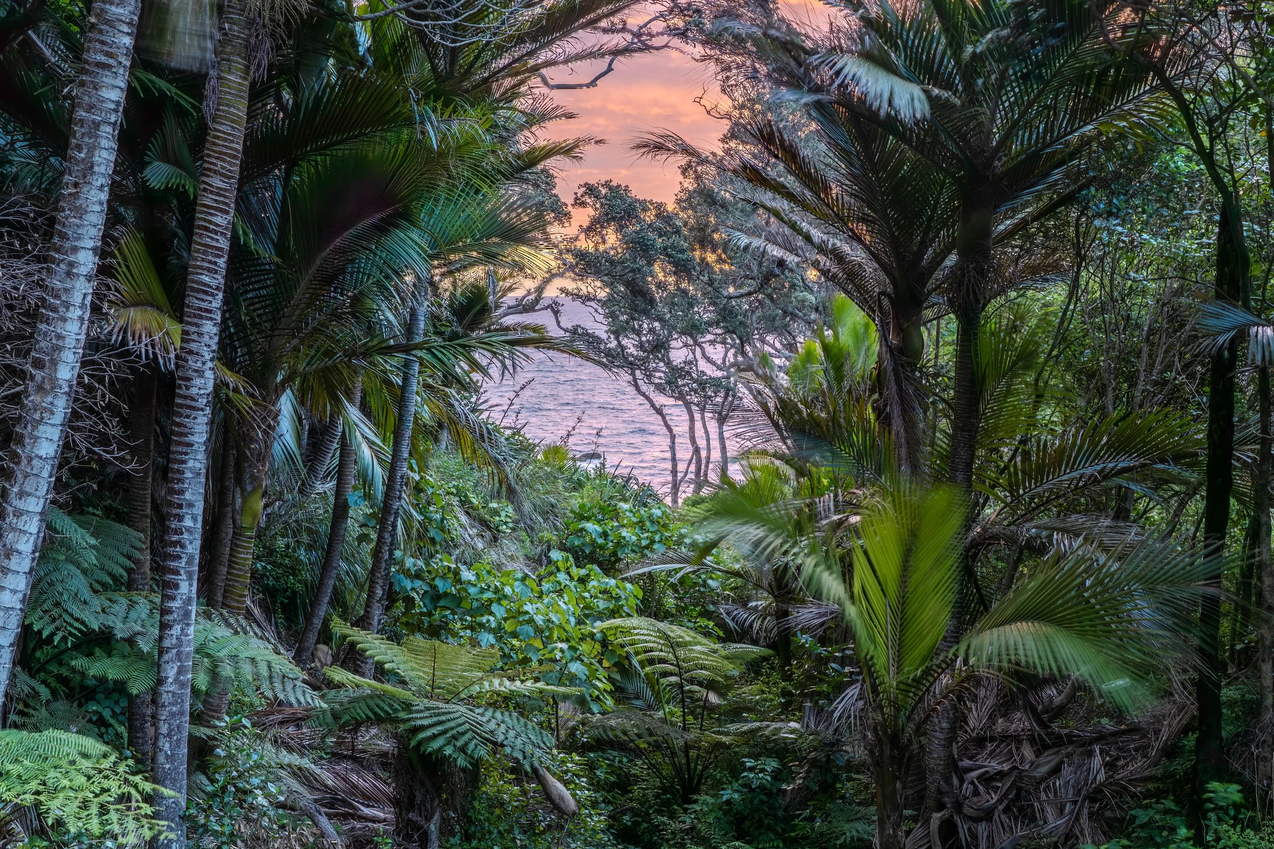 DSC08365-HDR-2.jpg