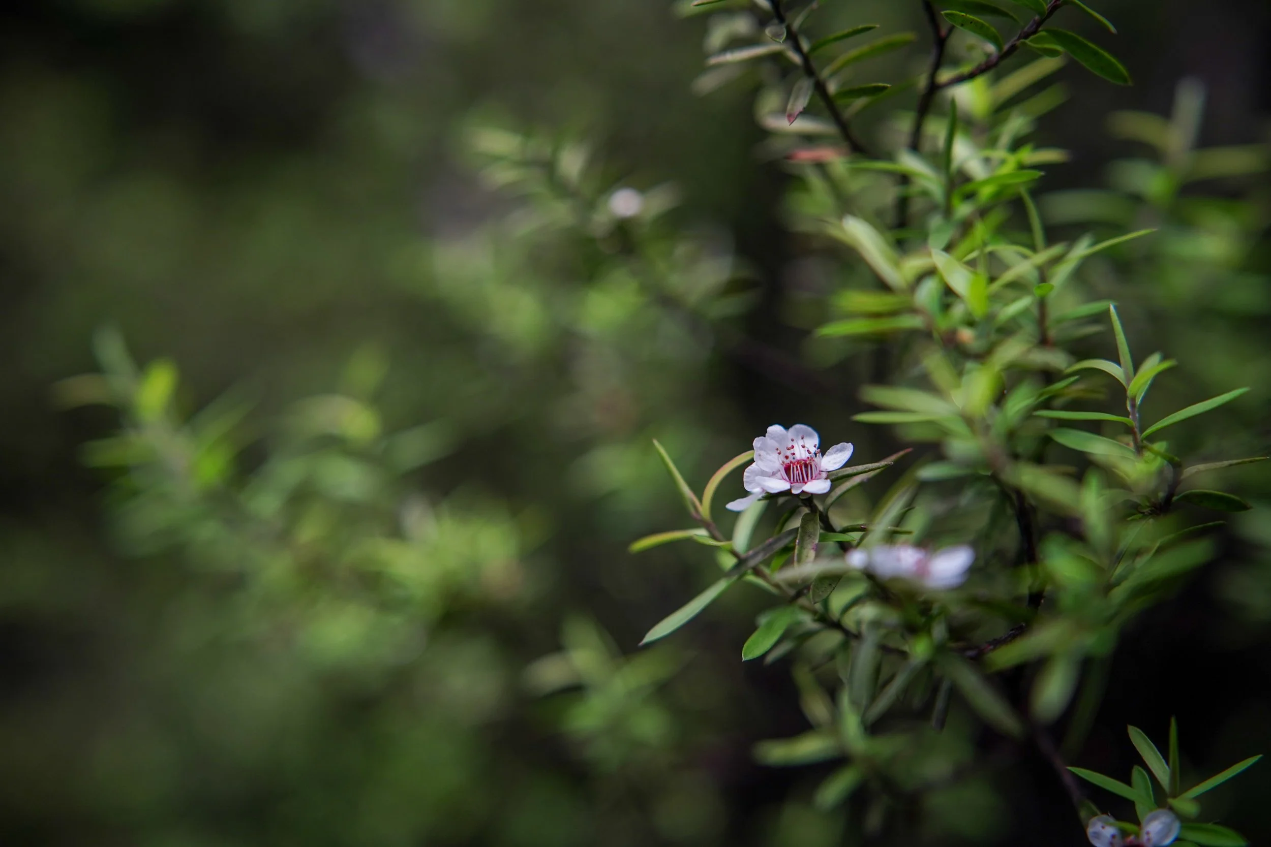 DSC08191-2.jpg