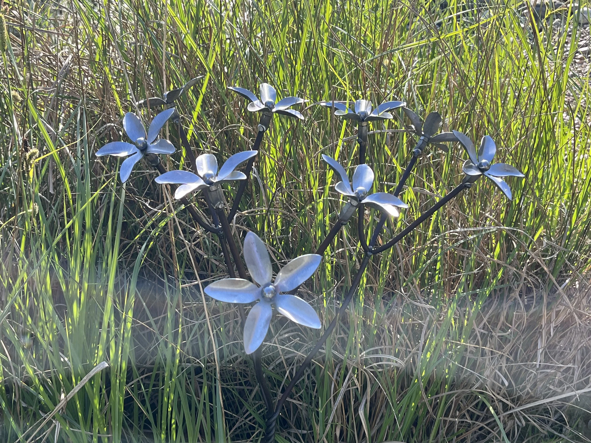 IMG_5431.jpeg