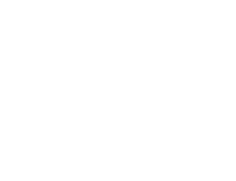 NF VVS