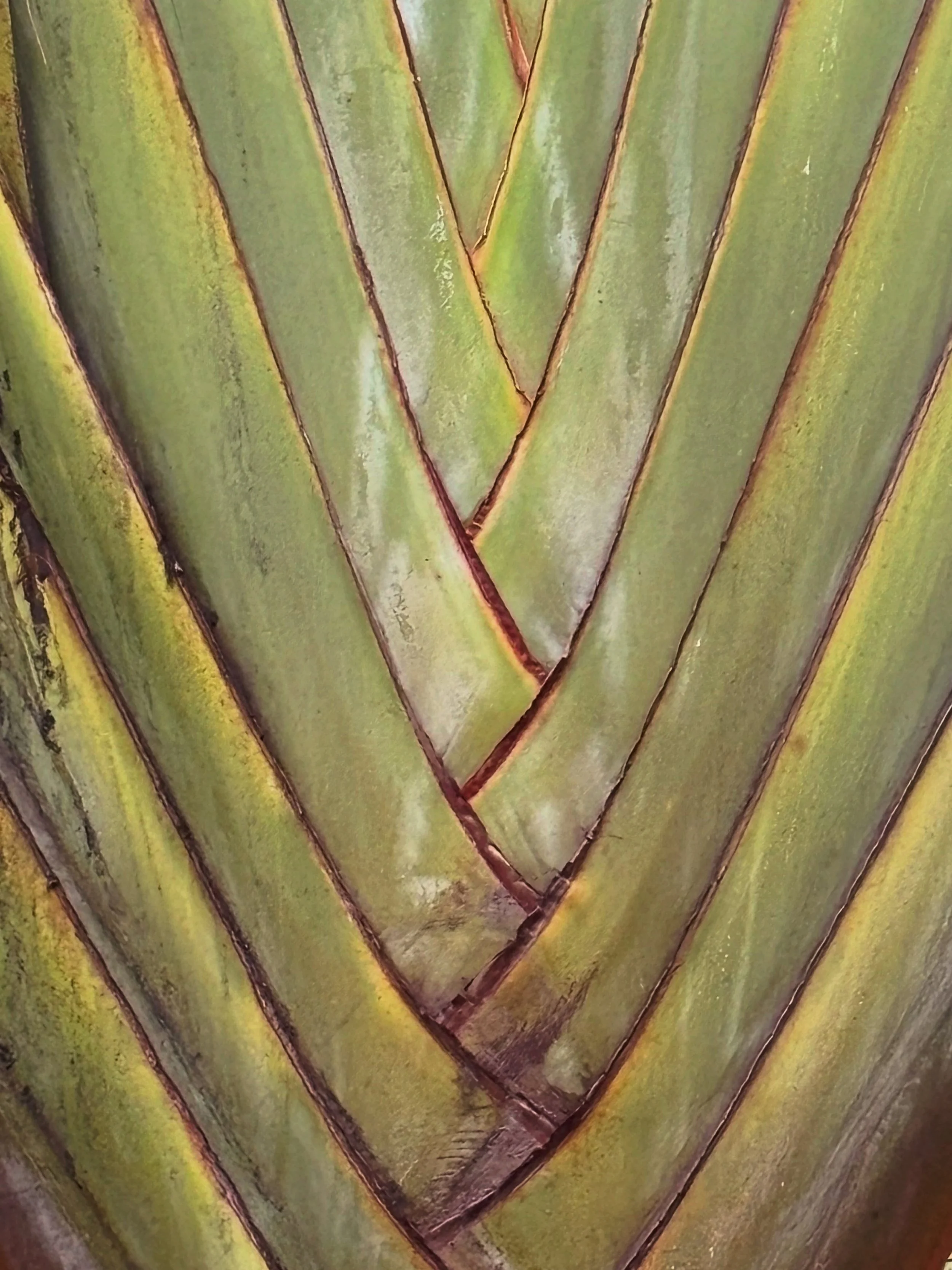 Look closer&hellip;

#abstract #nature #macrophotography #shotoniphone
