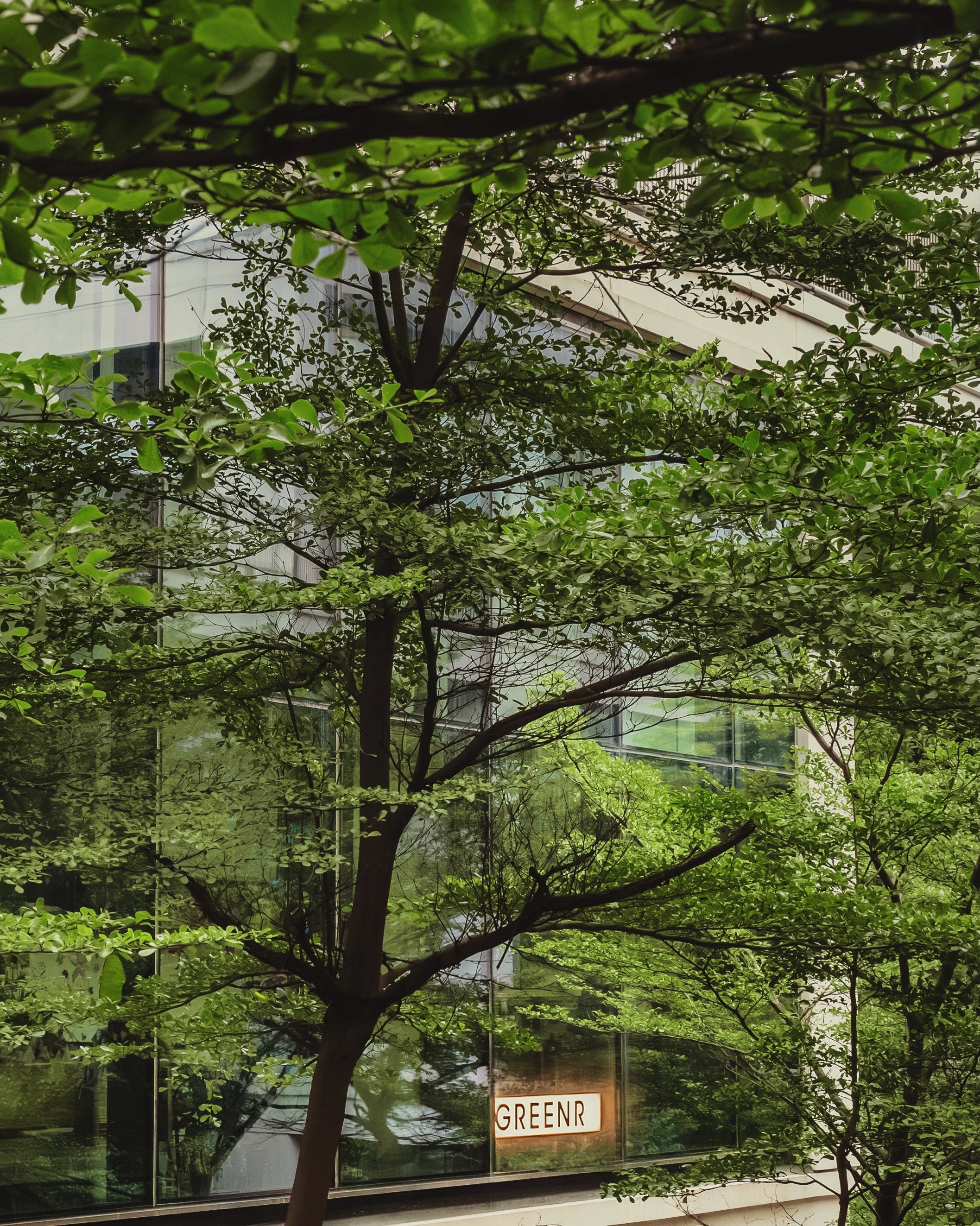 Little green heaven 

Shot for @begreenr 

#architecture #begreener #caf&eacute;s #delhidiaries #restaurant
