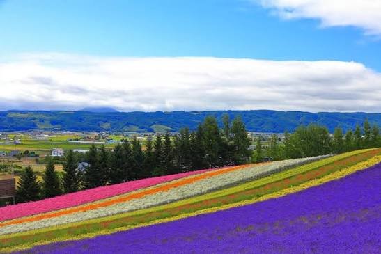 Furano.jpeg