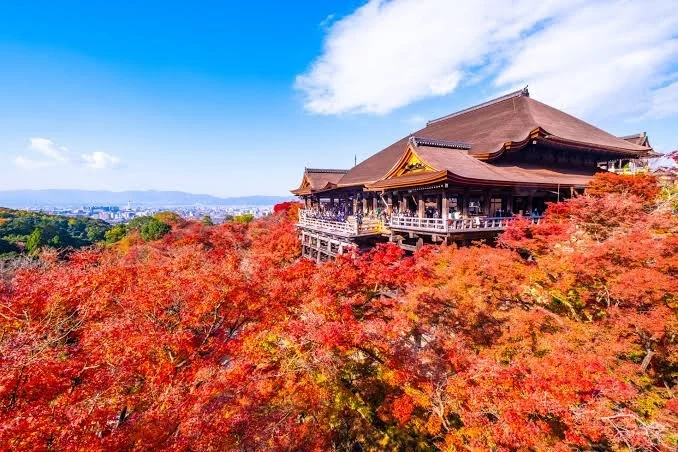 清水寺.jpeg