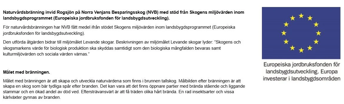 Text om naturvårdsbränning vid Rogsjön på Norra Vejnans Besparingsskog med stöd från Europeiska jordbruksfonden för landsbygdsutveckling.