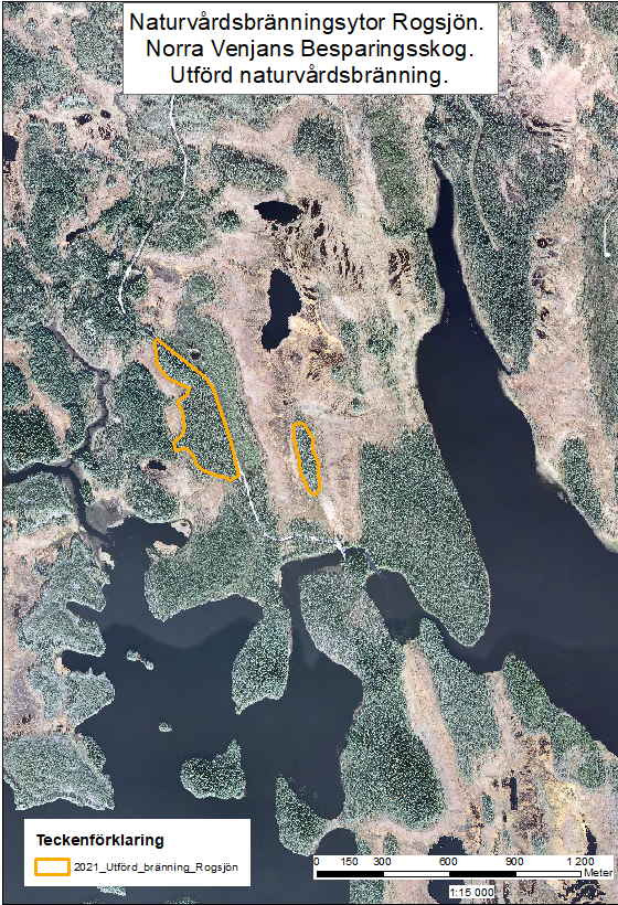 Satellitbild av Rogsjön och kringliggande skogsområden, med gula markerade linjer som visar genomförd naturvårdsbränning 2021.