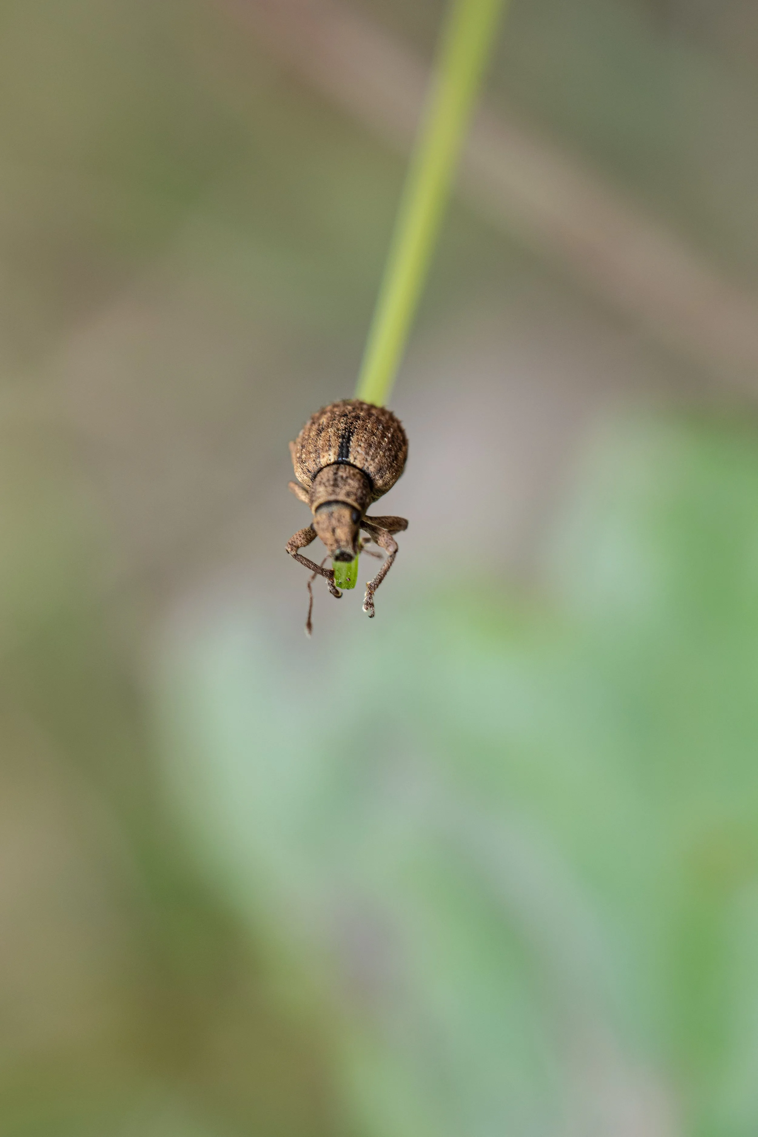 DSC_0159.JPG