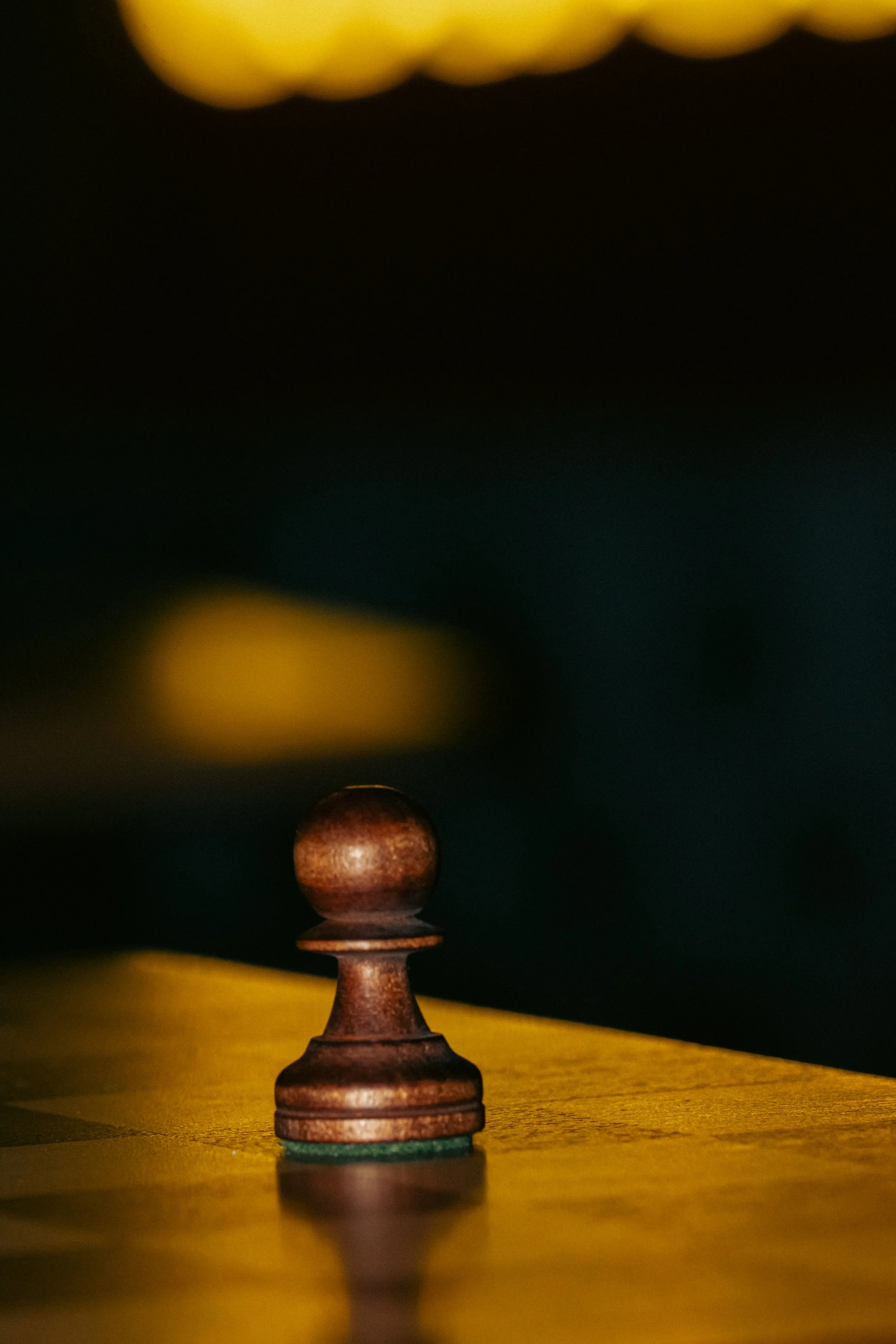 DSC_0204.JPG