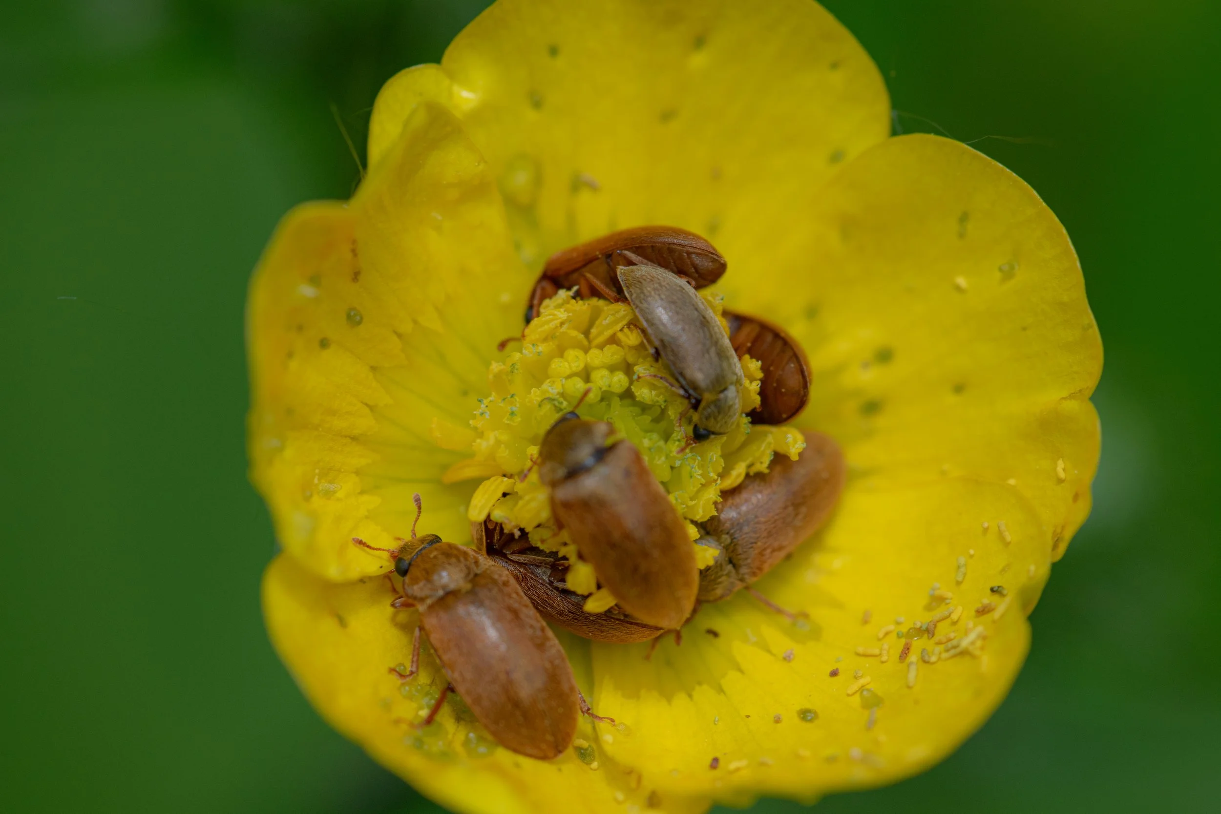 DSC_0189.JPG