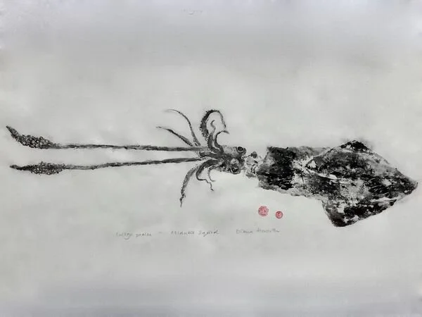 Gyotaku print of a squid