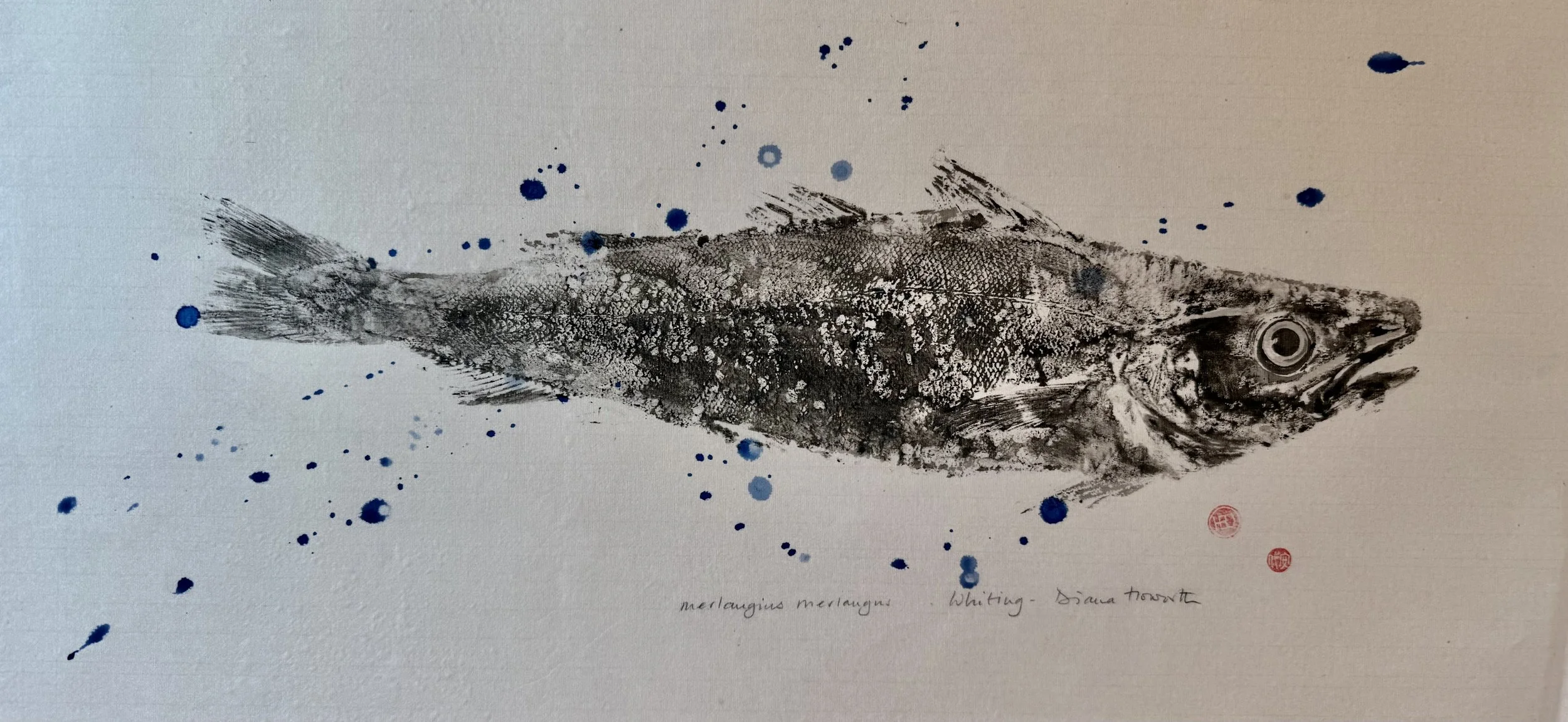 Whiting Gyotaku Print on Silk - Diana Howorth