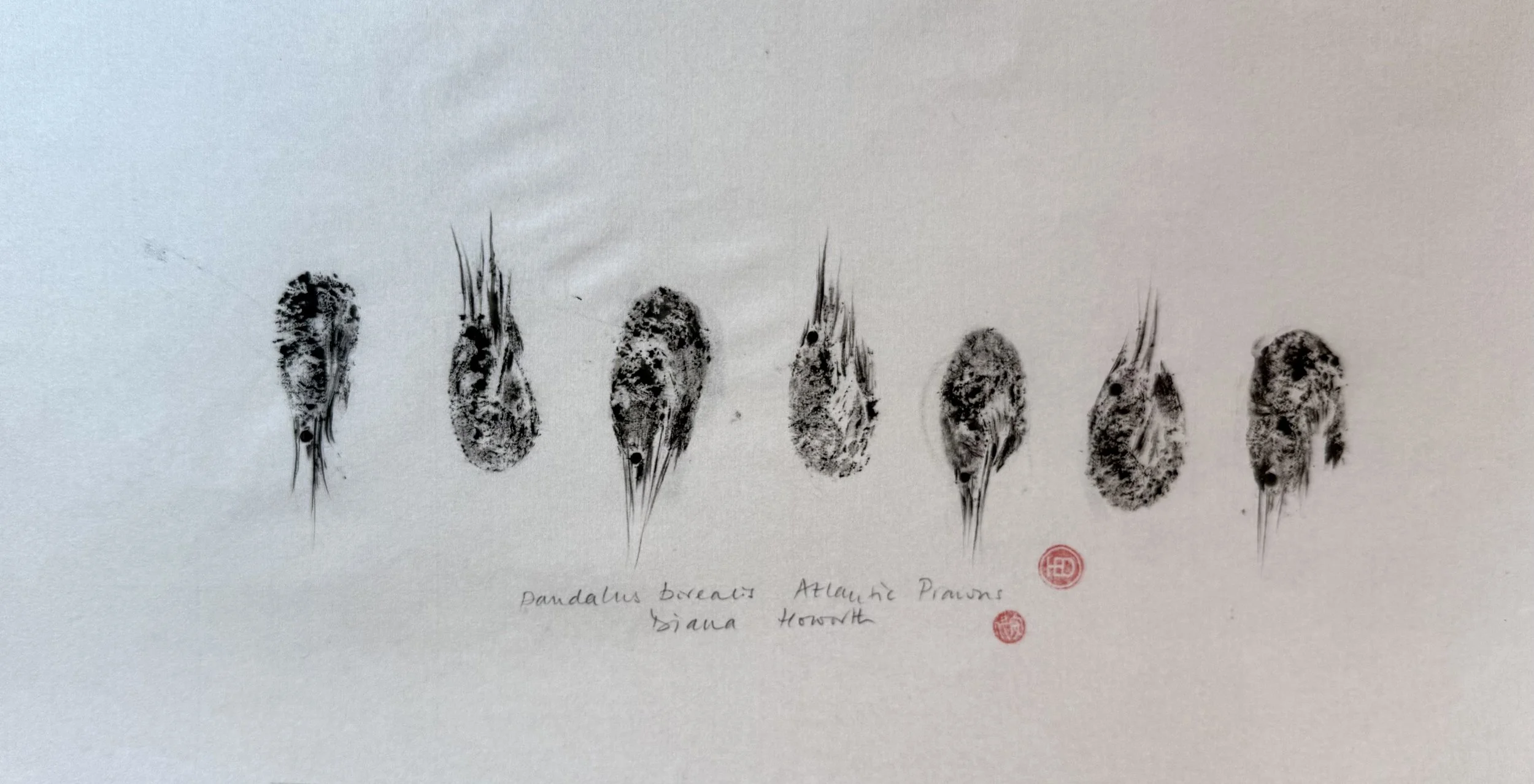 Atlantic Prawns Gyotaku Print on Silk - Diana Howorth