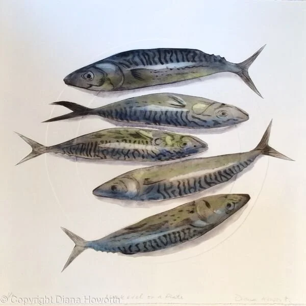 Five mackerels on a plate — collagraph monotype by Diana Howorth