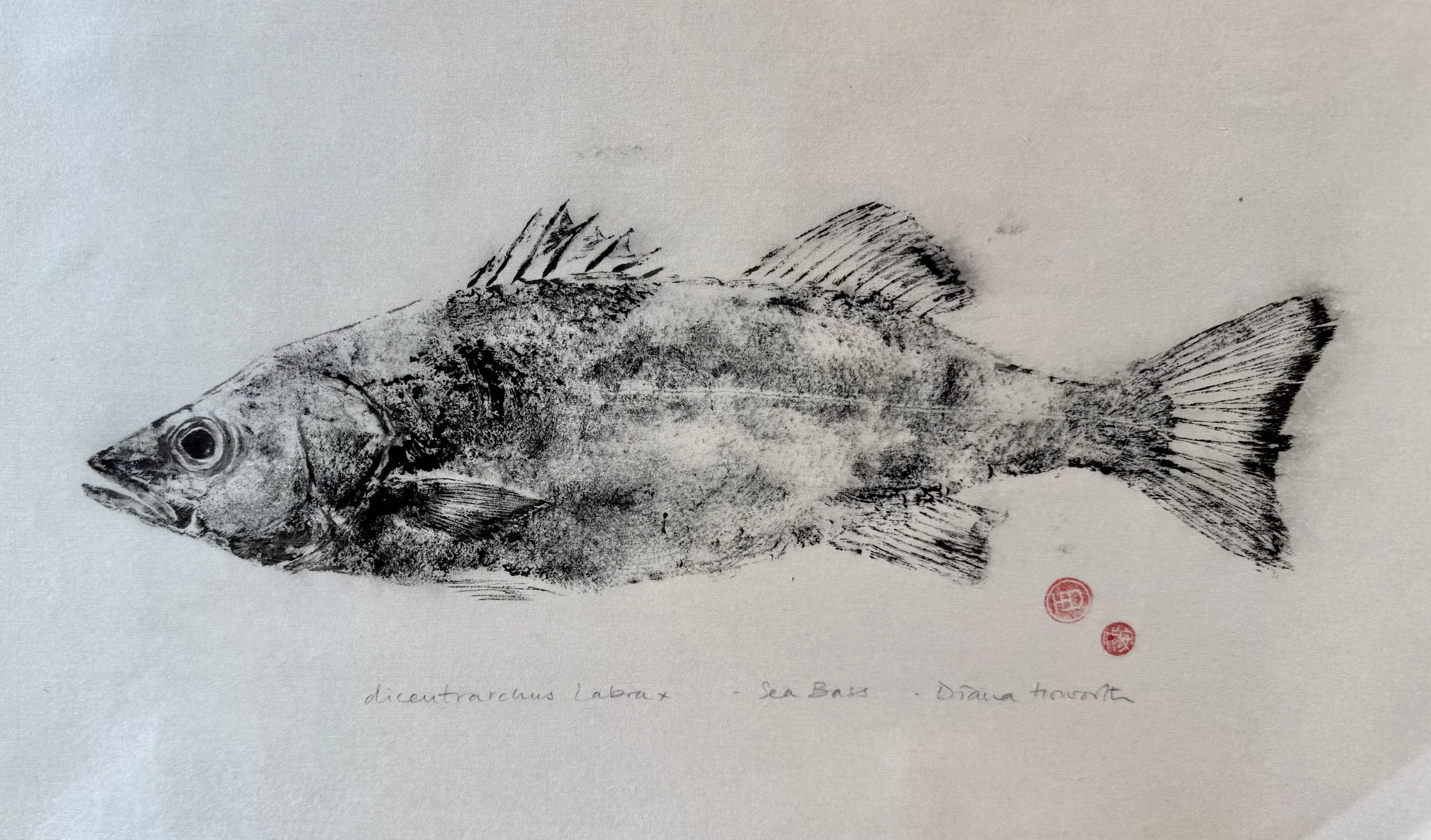 Sea Bass Gyotaku Print on Silk - Diana Howorth