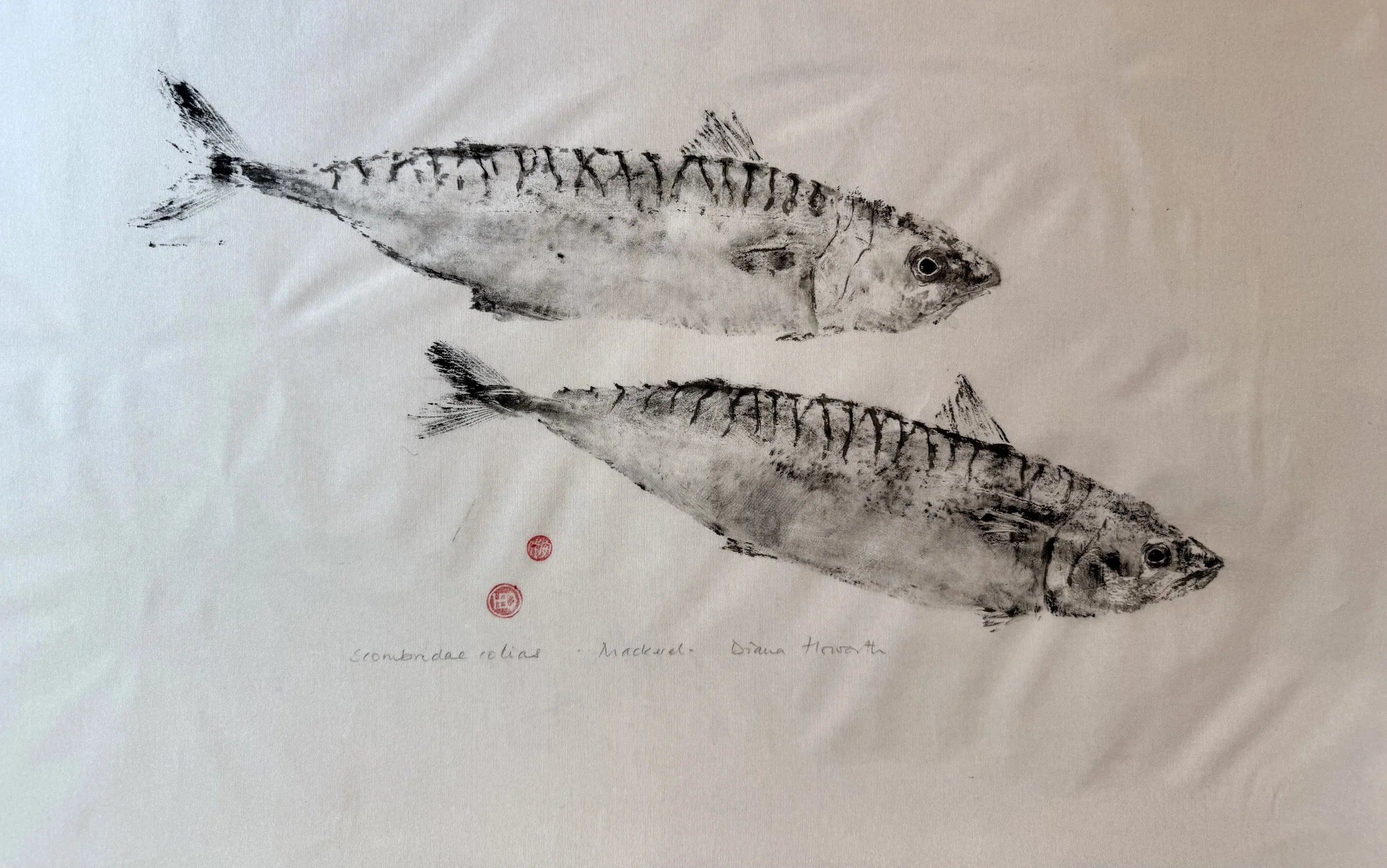 Mackerel Gyotaku Print on Silk - Diana Howorth