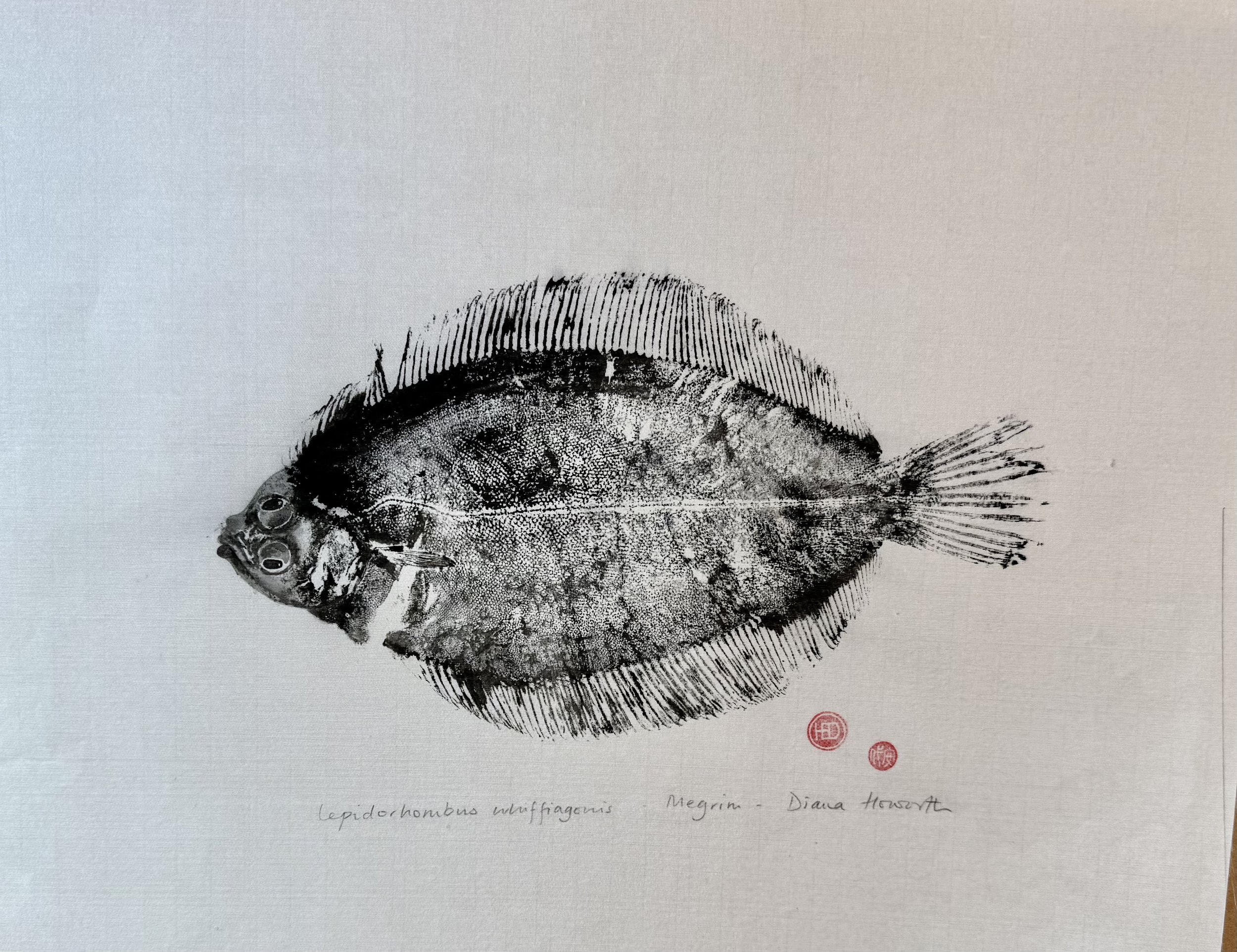 Megrim Gyotaku Print on Silk - Diana Howorth