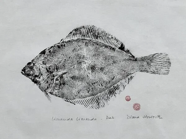 Detailed gyotaku print  of a fish, with handwritten notes and red stamps beneath it.