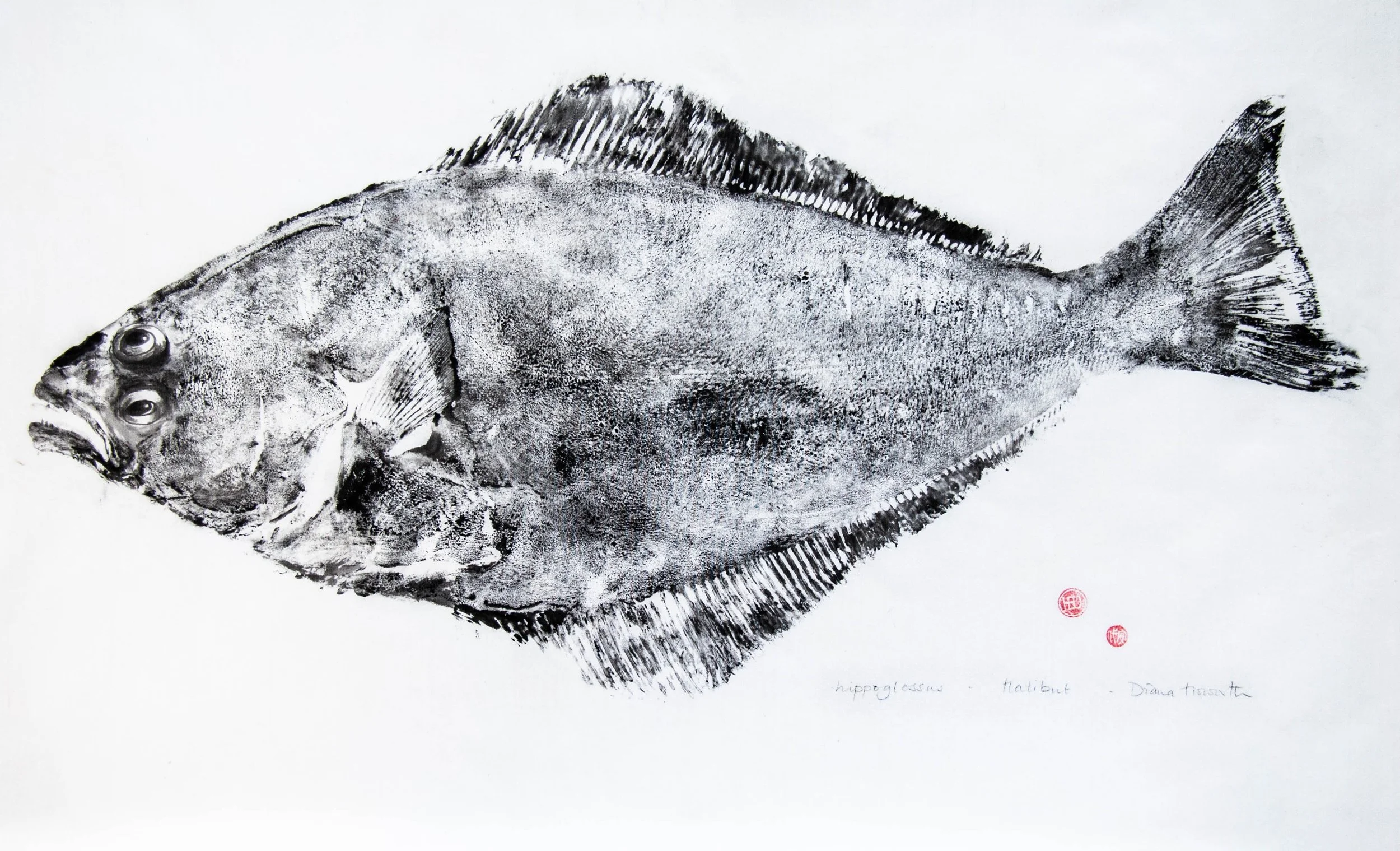 Halibut gyotaku print