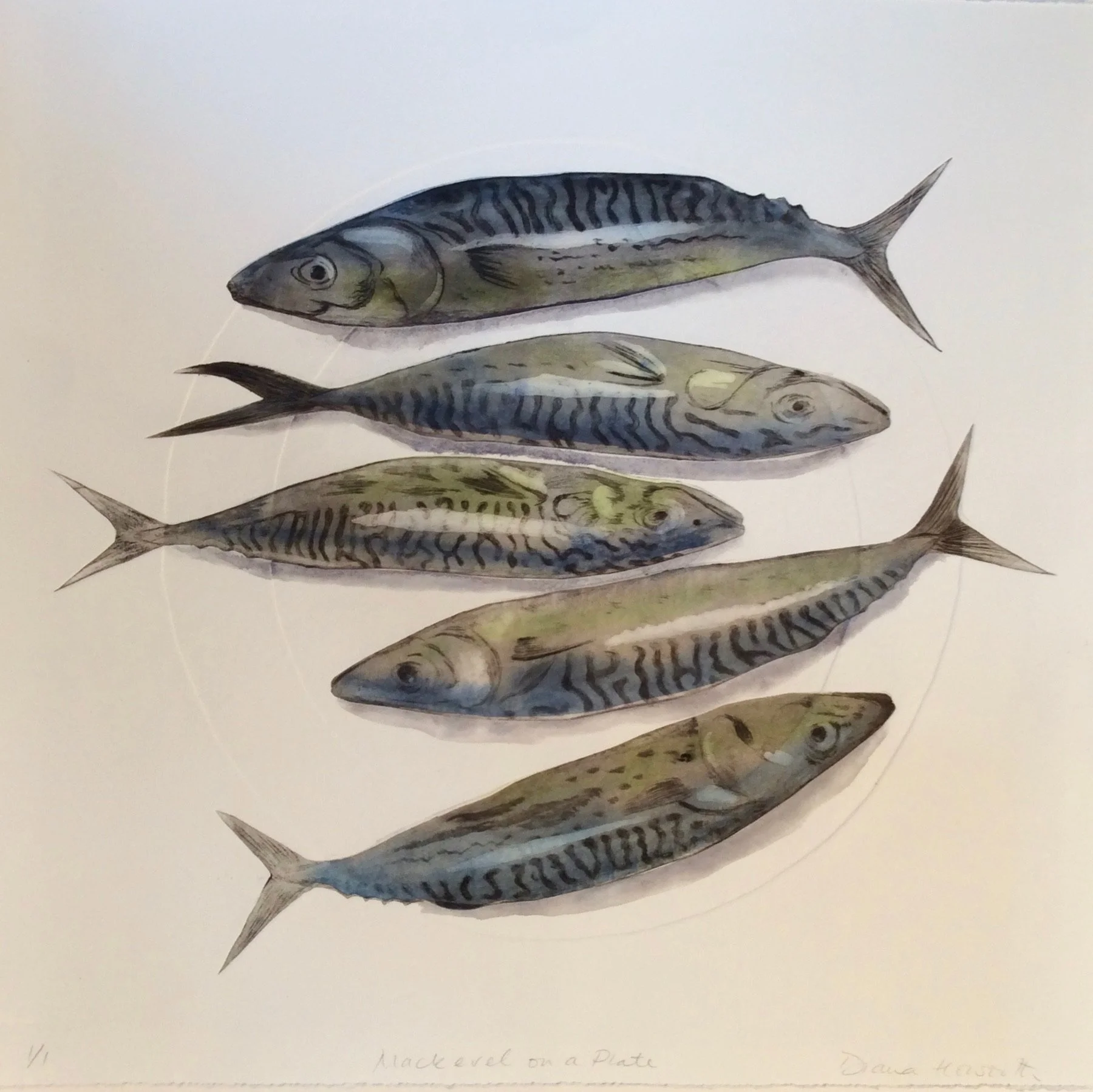 Five Mackerel collagraph with chine colle mono print