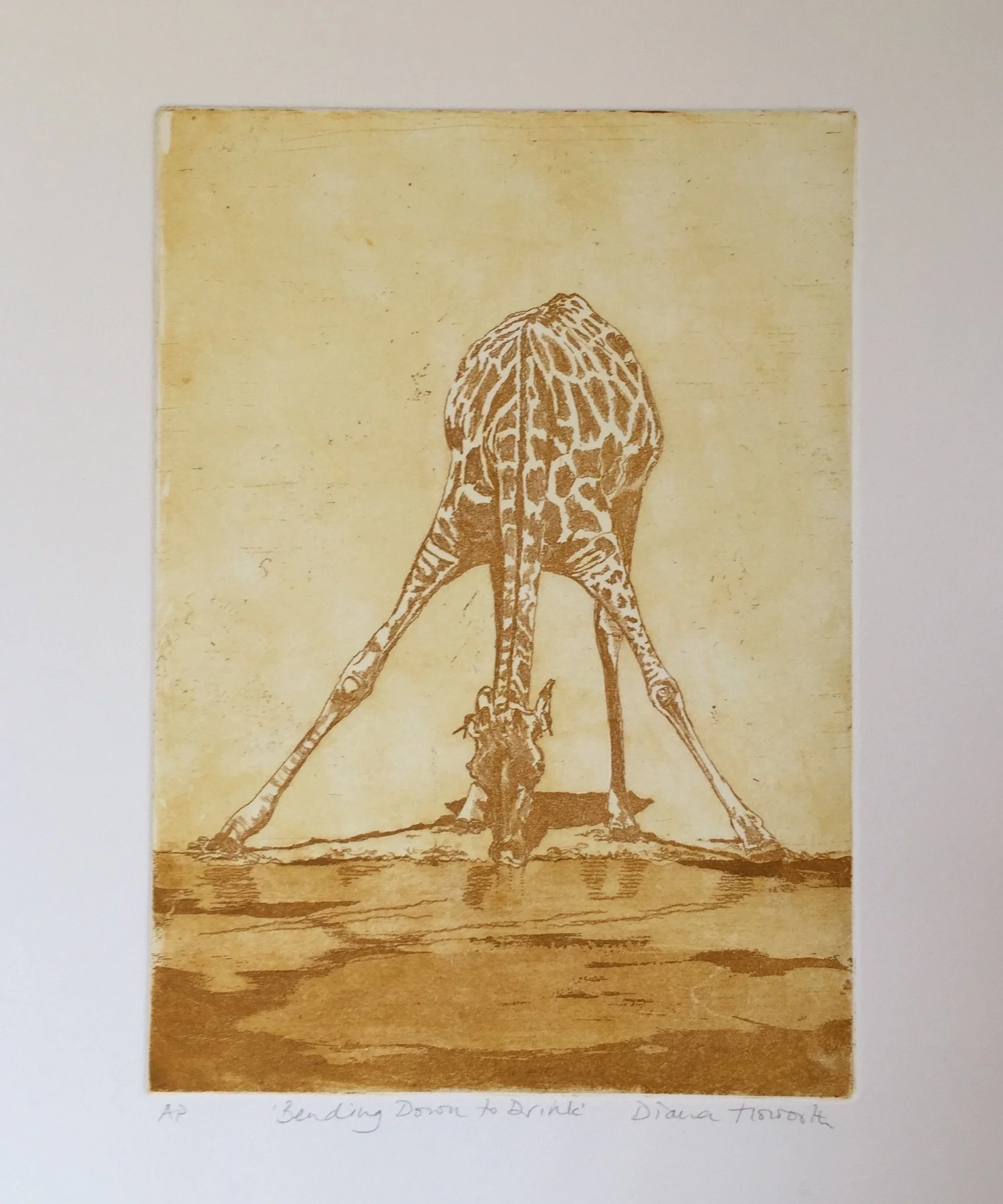 Bending Down to Drink in sulphur yellow - some APs available