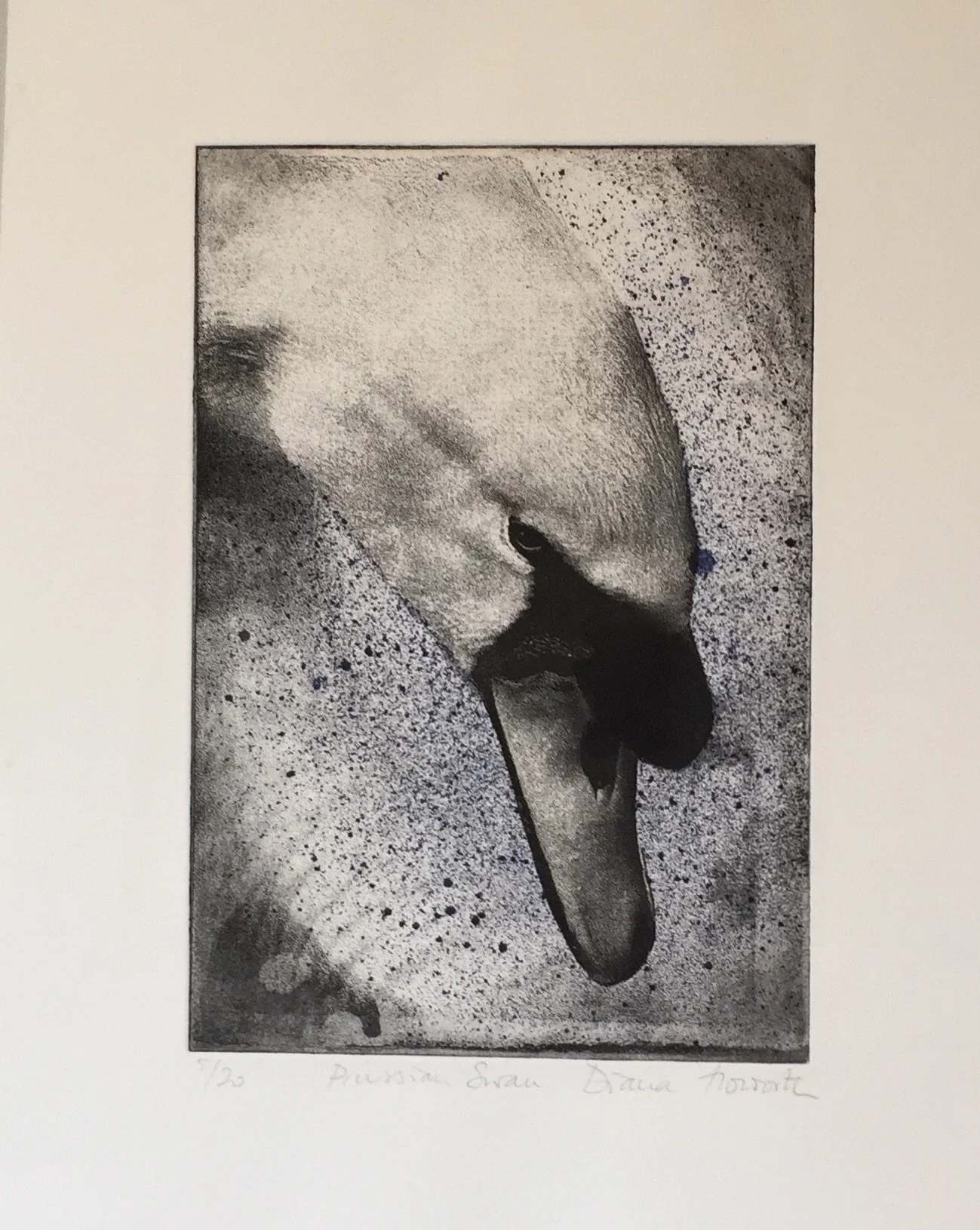 Photo etching with spray and chine colle