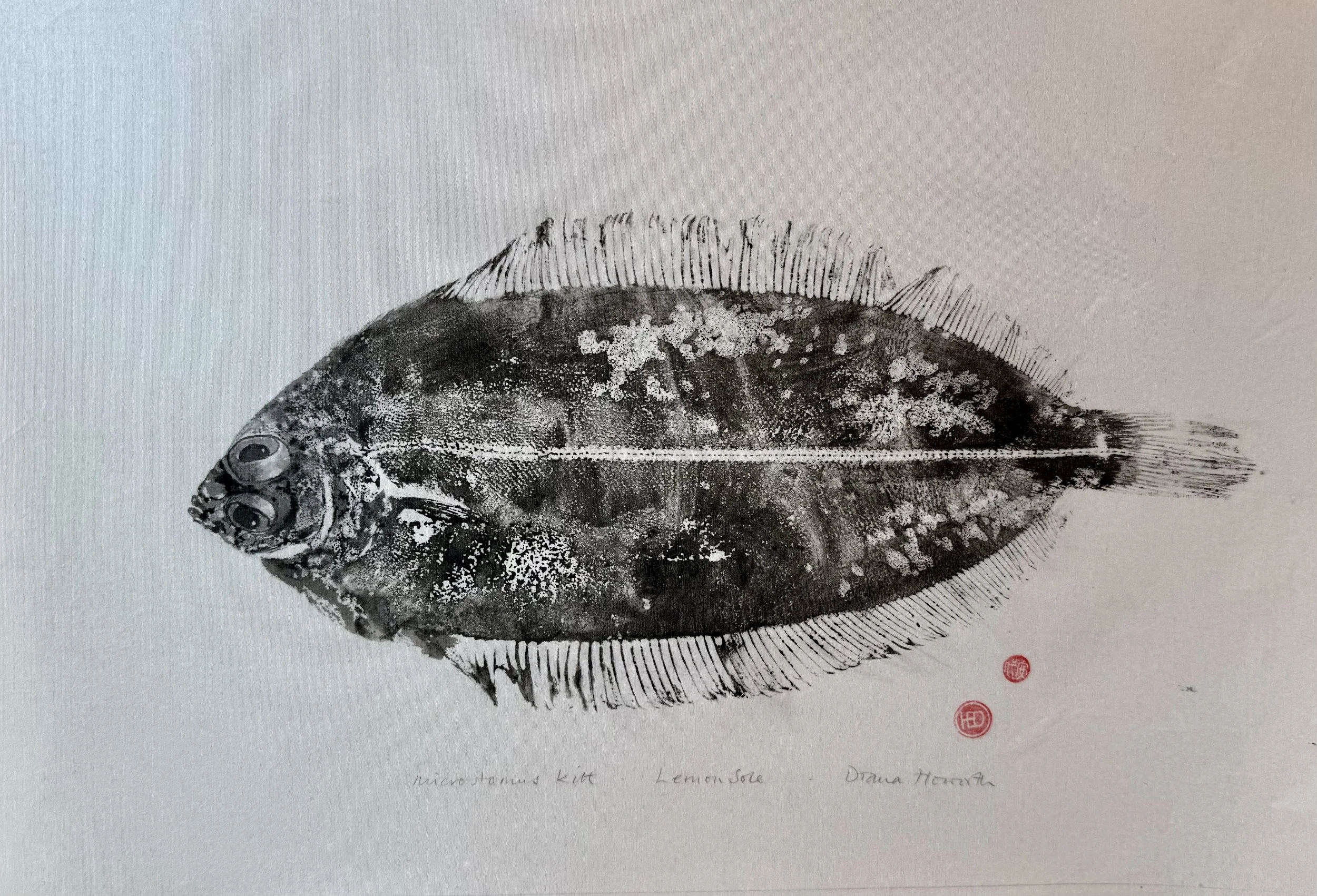 Lemon Sole Gyotaku Print on Silk - Diana Howorth
