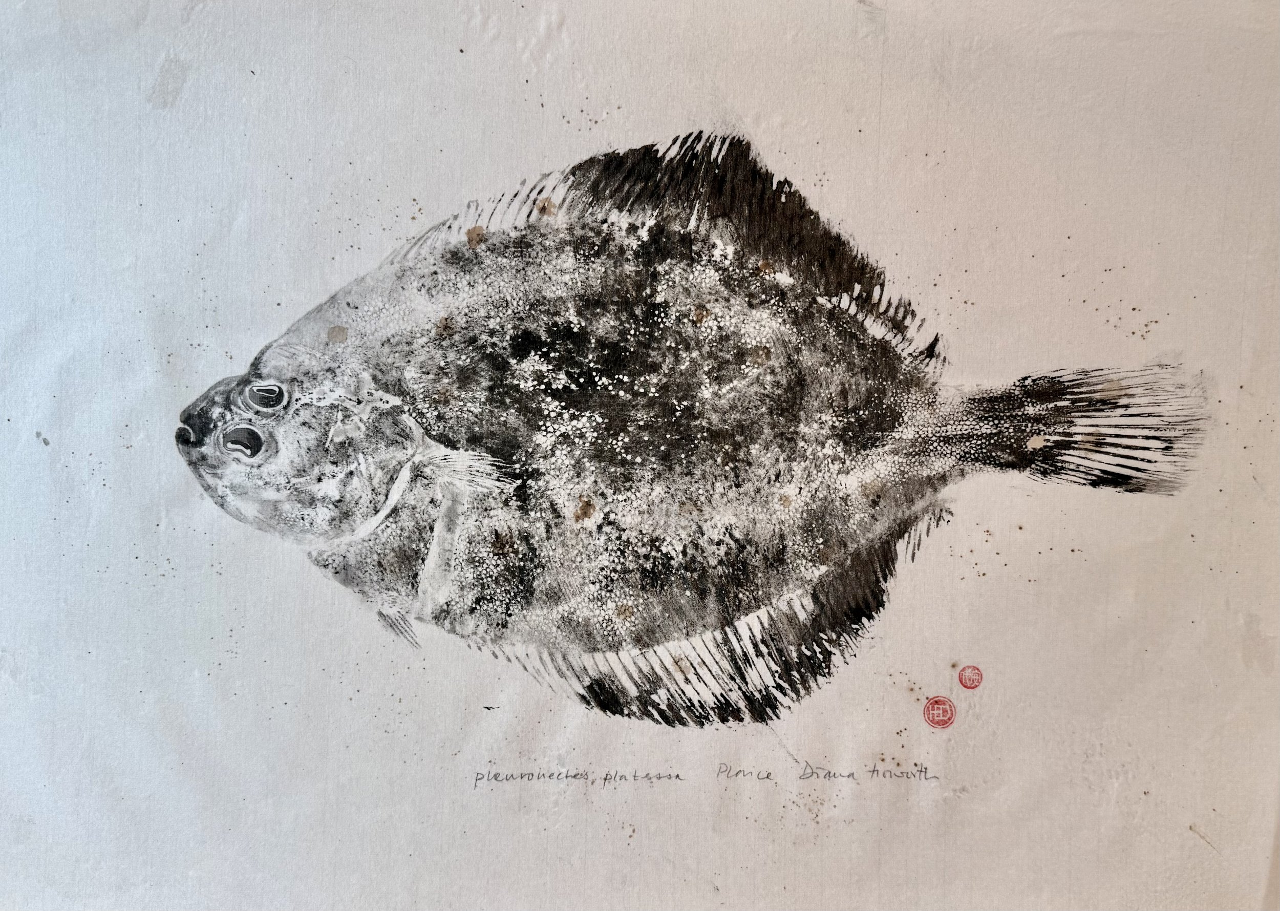 Plaice Gyotaku Print on Silk - Diana Howorth