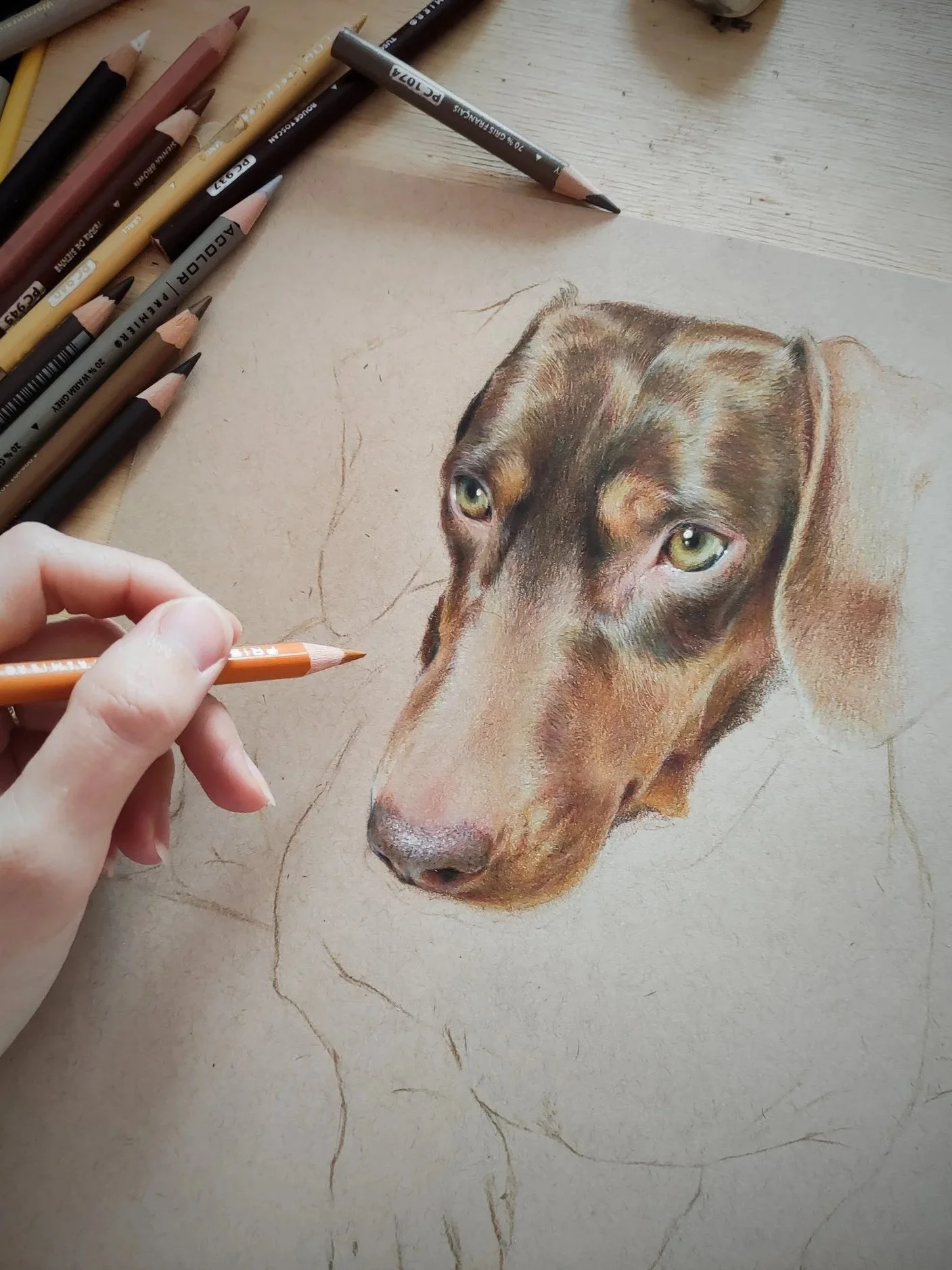 A person drawing a realistic colored pencil portrait of a dog on paper, with colored pencils laid out nearby.