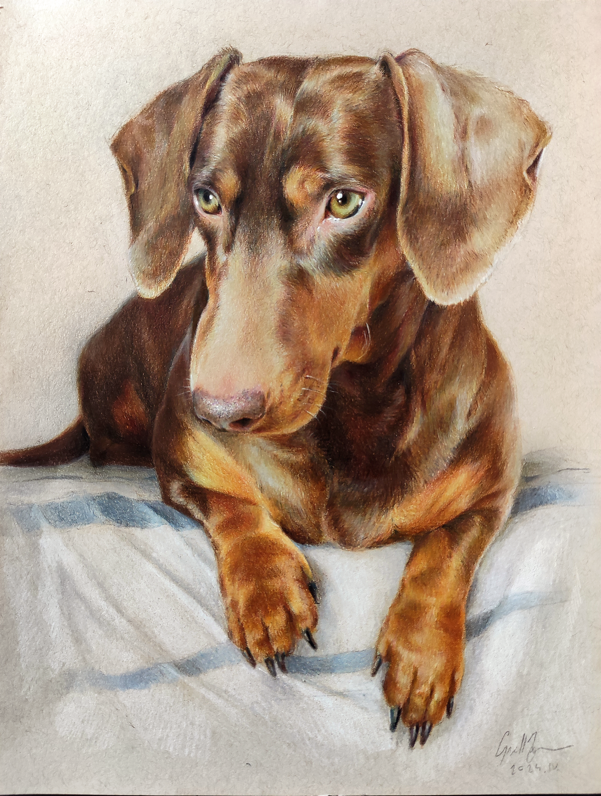 A realistic colored pencil or pastel drawing of a brown dog with green eyes, lying on a light-colored fabric surface. The artist's signature and date '2024' are visible at the bottom right.