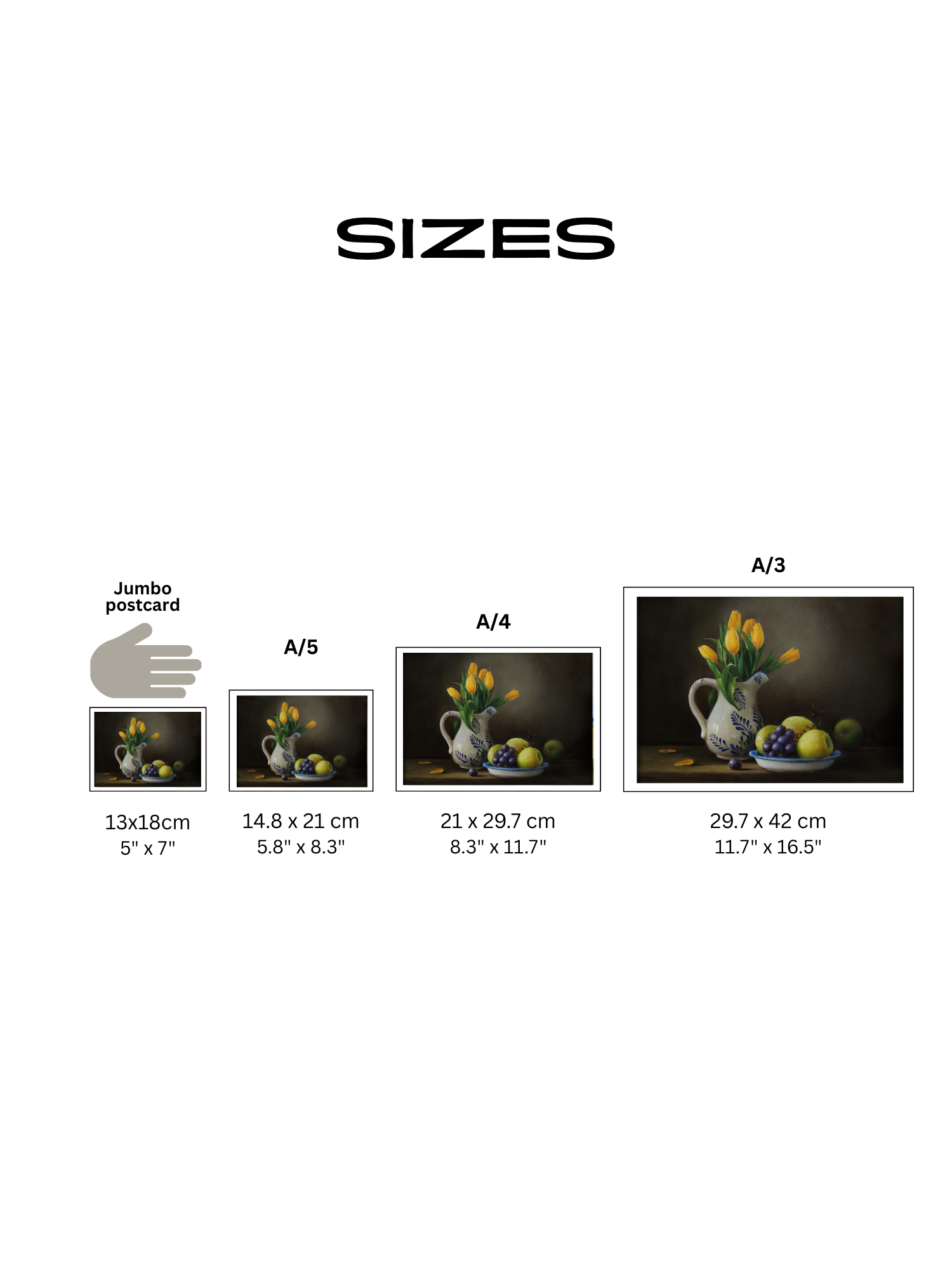 Sizestulip.png
