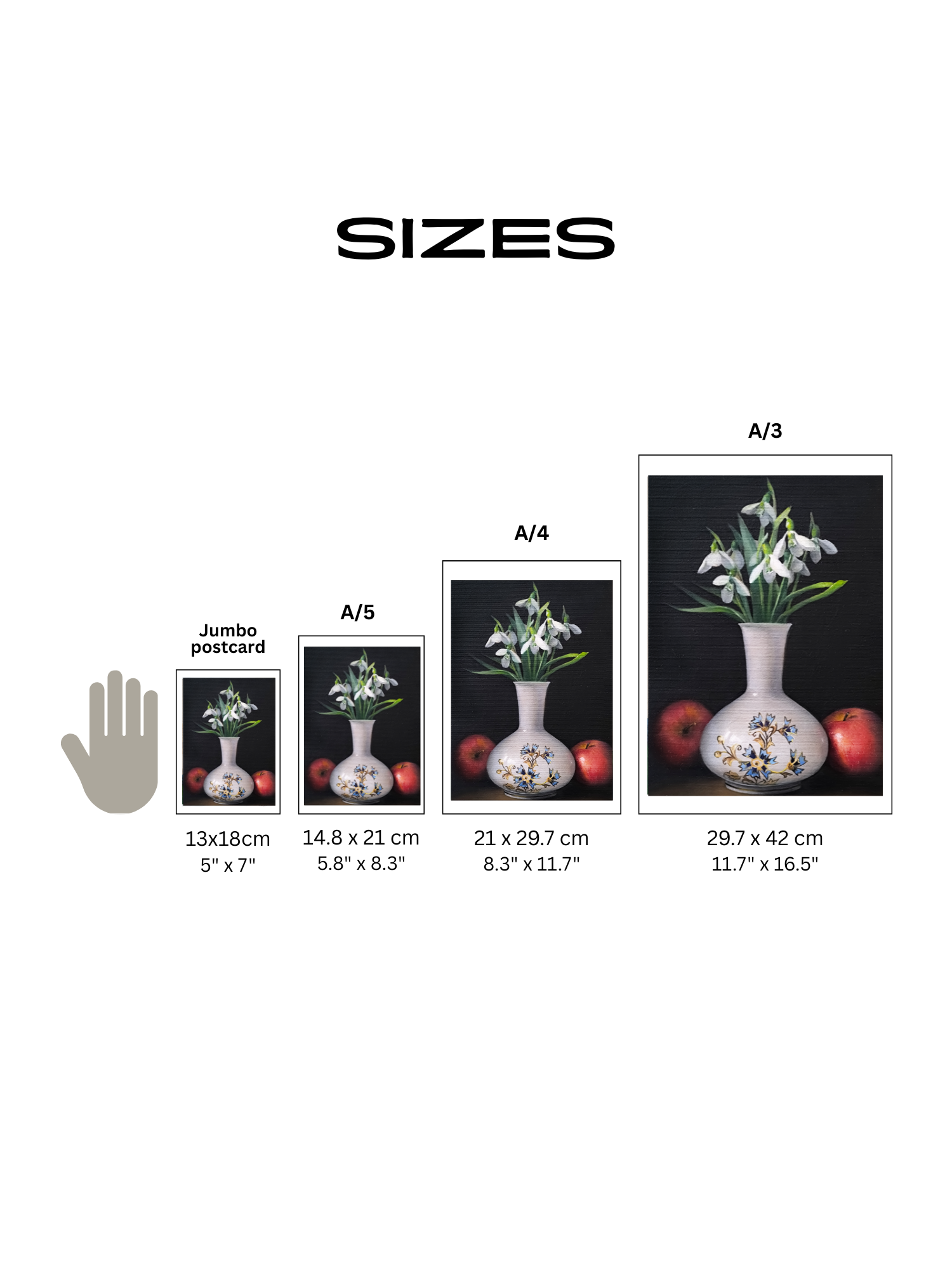 Sizeshovirag.png