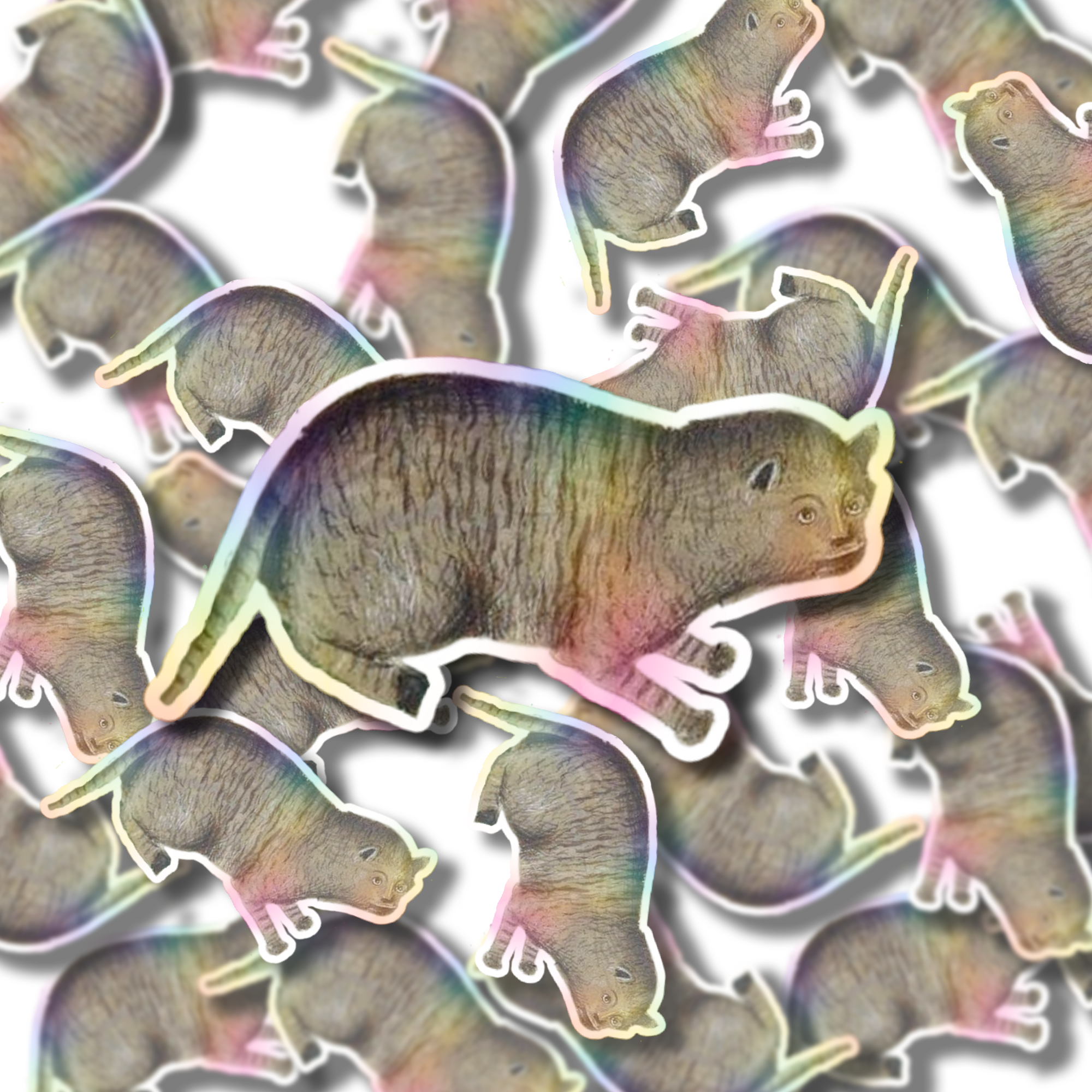 MEDI CAT BRIAN SINGLE1.png