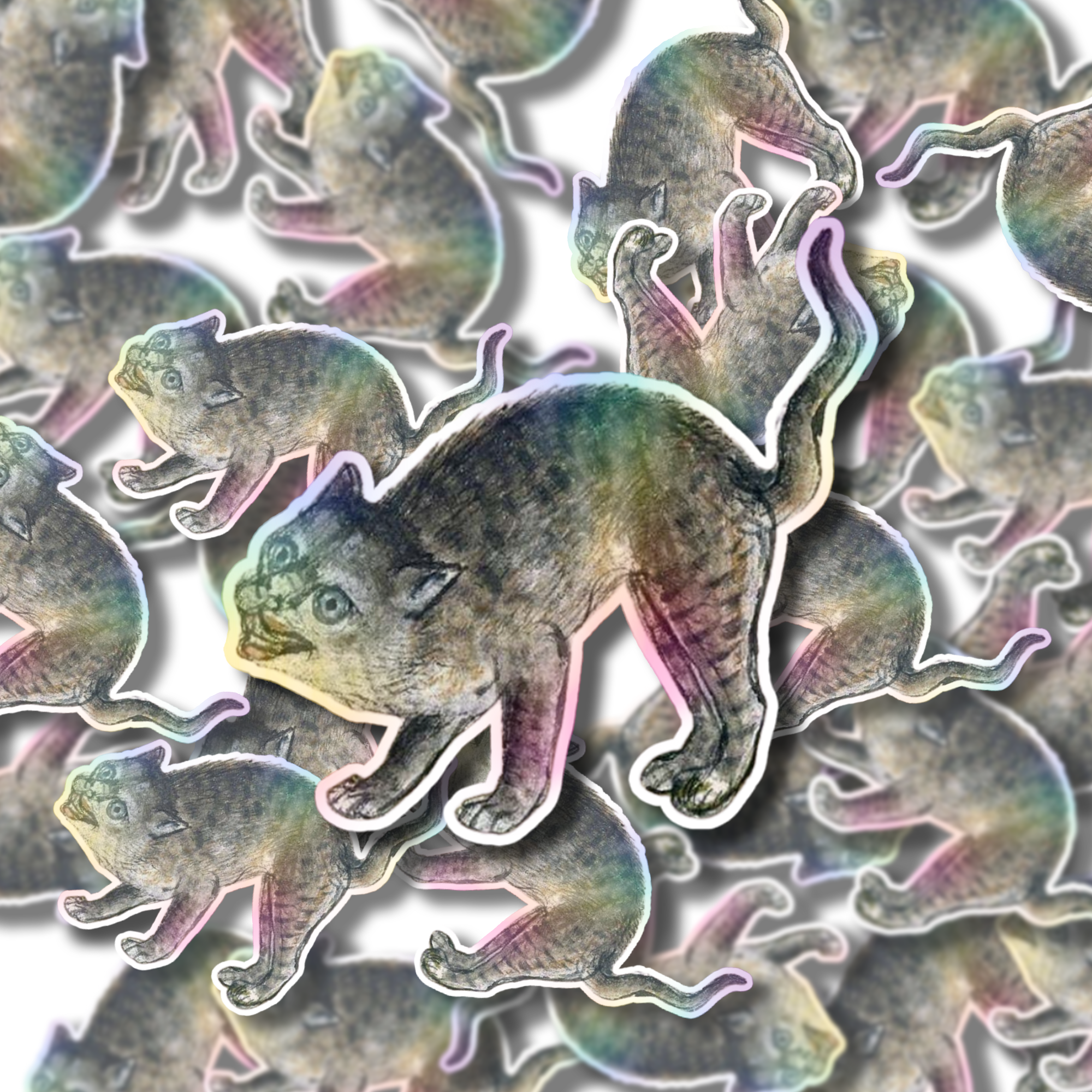 MEDI CAT SCREECH SINGLE1.png
