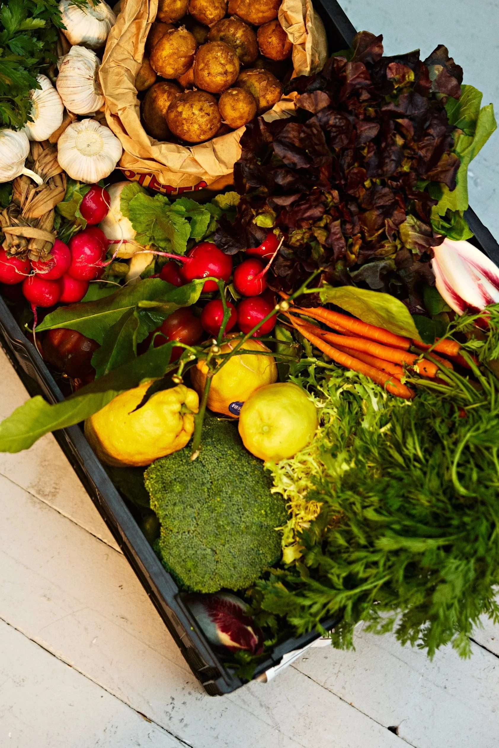 A display of fresh vegetables including garlic, potatoes, radishes, carrots, lettuce, broccoli, and other leafy greens.