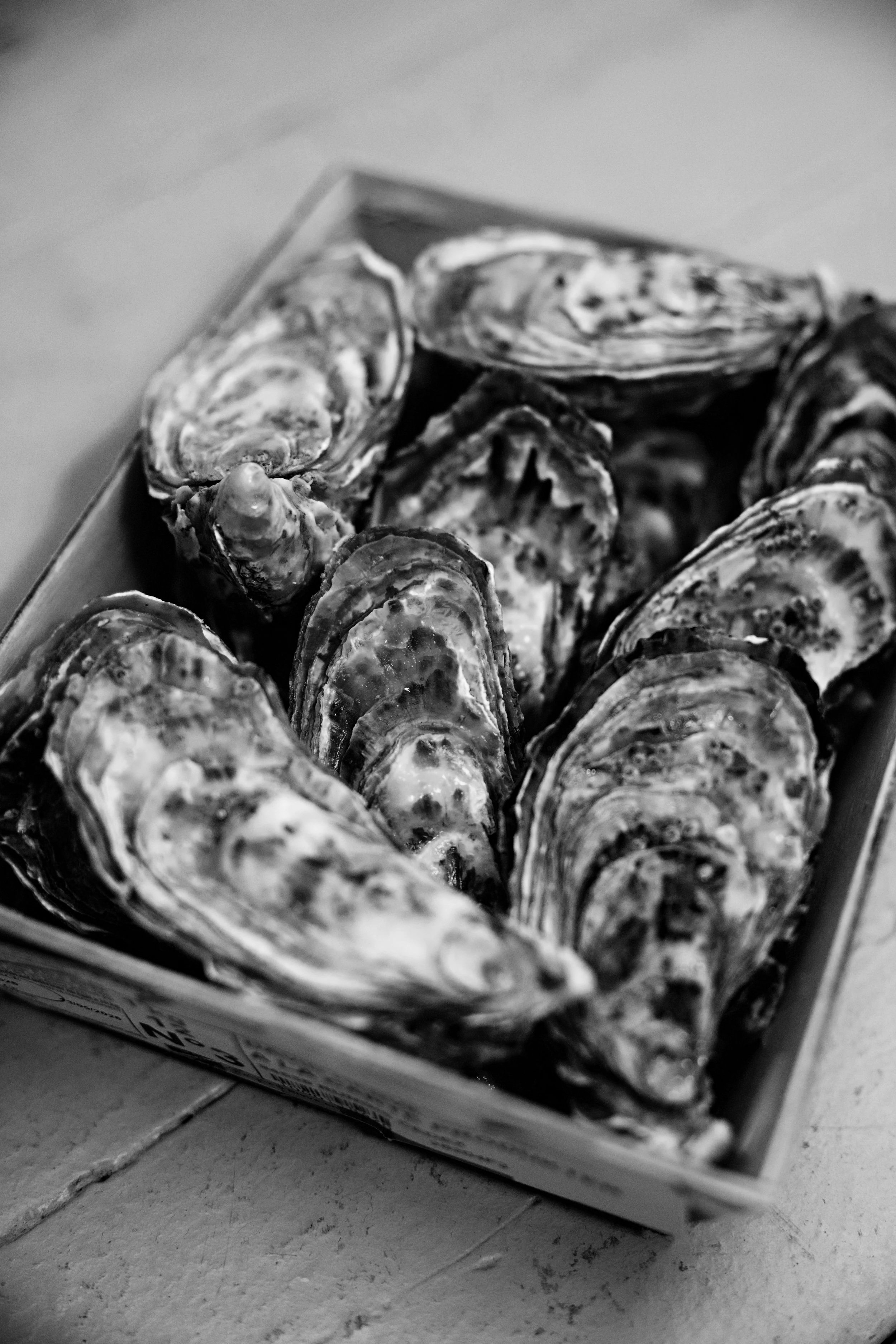 A black-and-white photo of a box containing opened oyster shells with oysters inside, placed on a tiled surface.