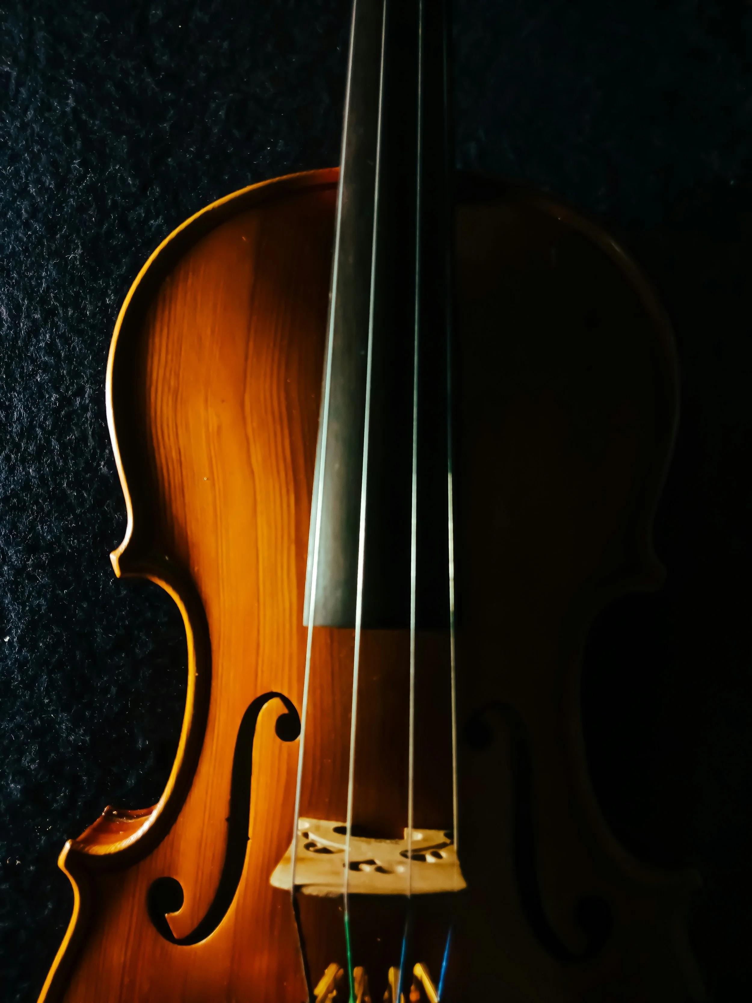Close-up of a violin's body showing the wood grain, strings, and part of the bow against a dark background.