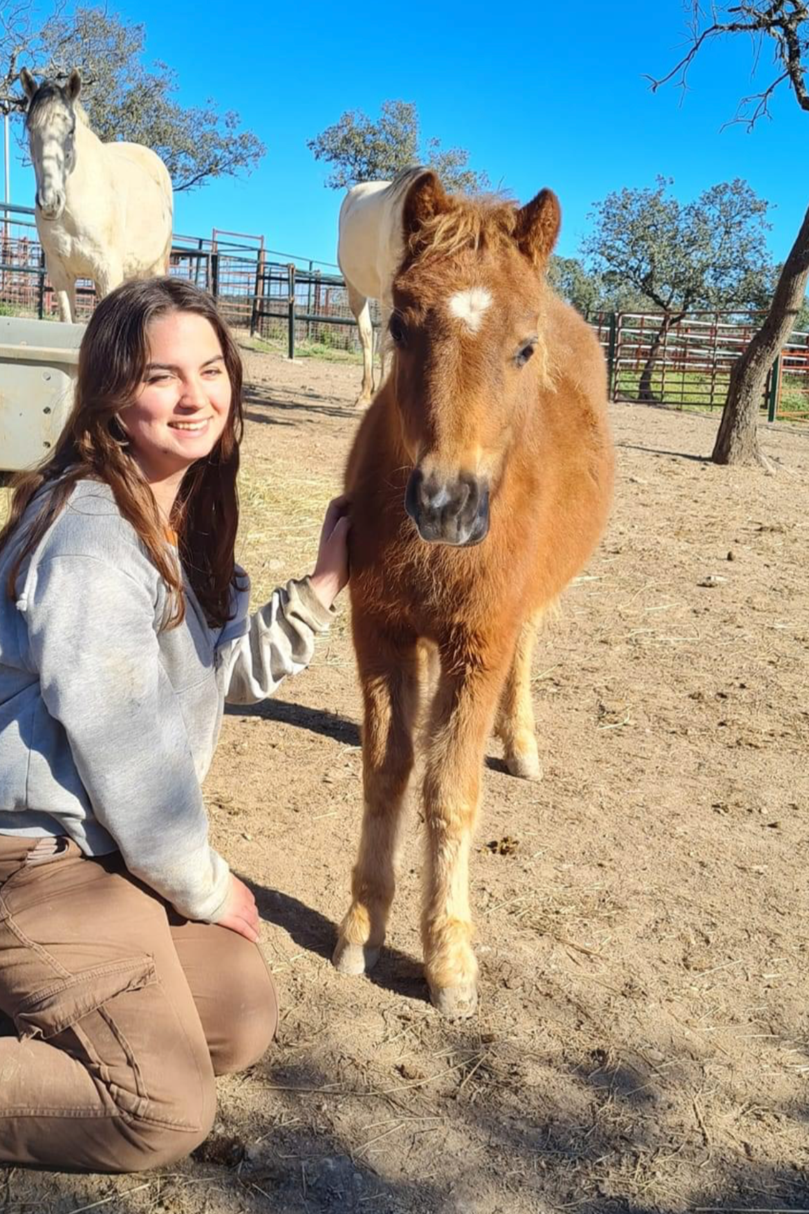 Een jongevrouw die op zijn knieën zit en een paard aait, met nog twee paarden op de achtergrond in een omheinde zandige buitenruimte onder een heldere blauwe hemel.