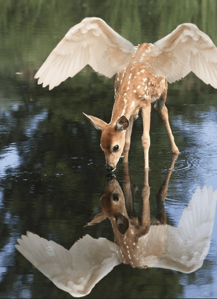 Photoshop | Foto bewerken