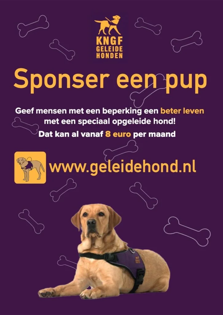 Adobe | Sponsor poster
