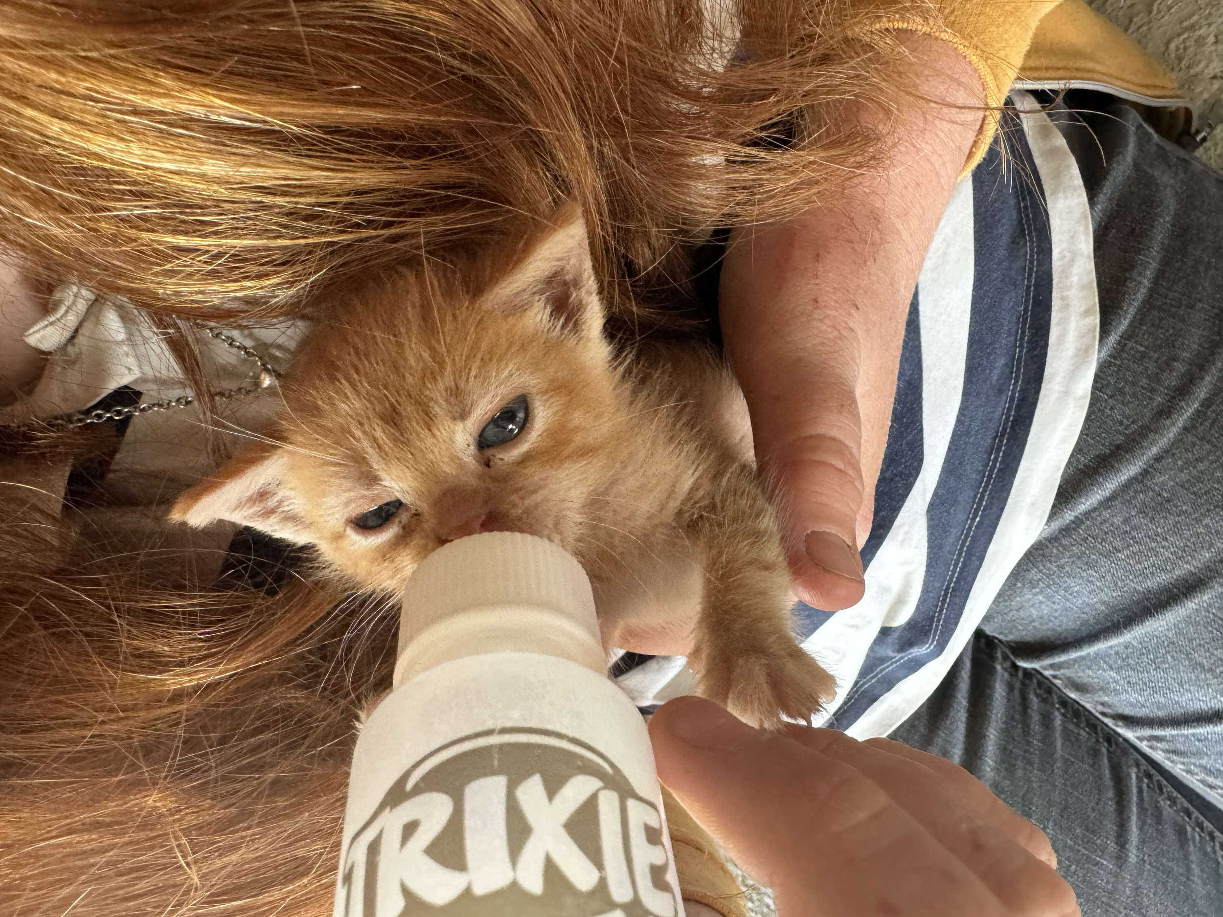 Een persoon met lang rood haar die een oranje kitten vasthoudt, in een strakke horizontale positie.