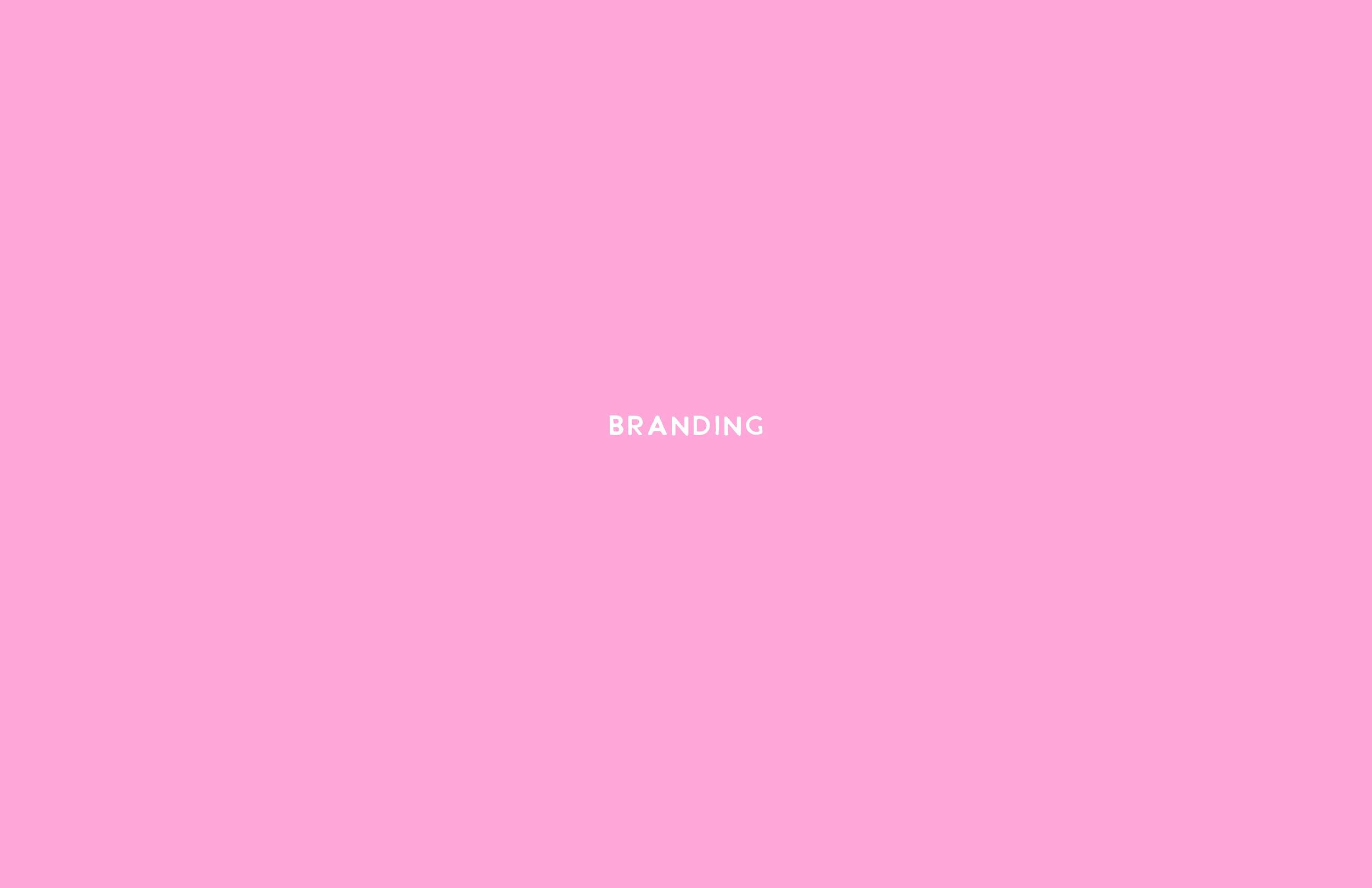 2023_NumberStory_FindPride_Guidelines_RevisedLogo_Page_02.jpg
