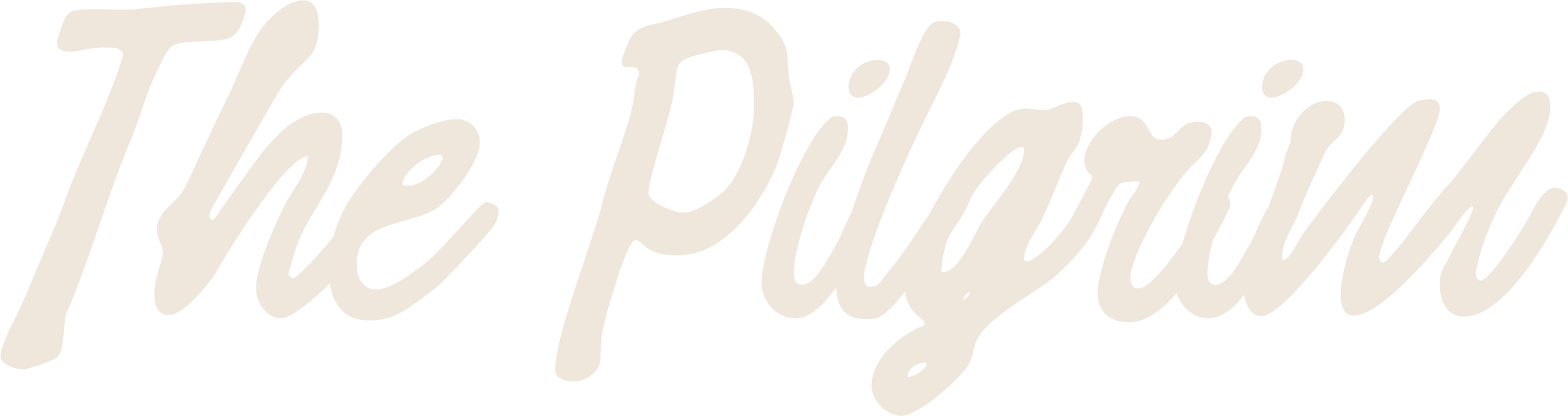 Text in cursive font that reads 'The Pilgrim' on a black background.