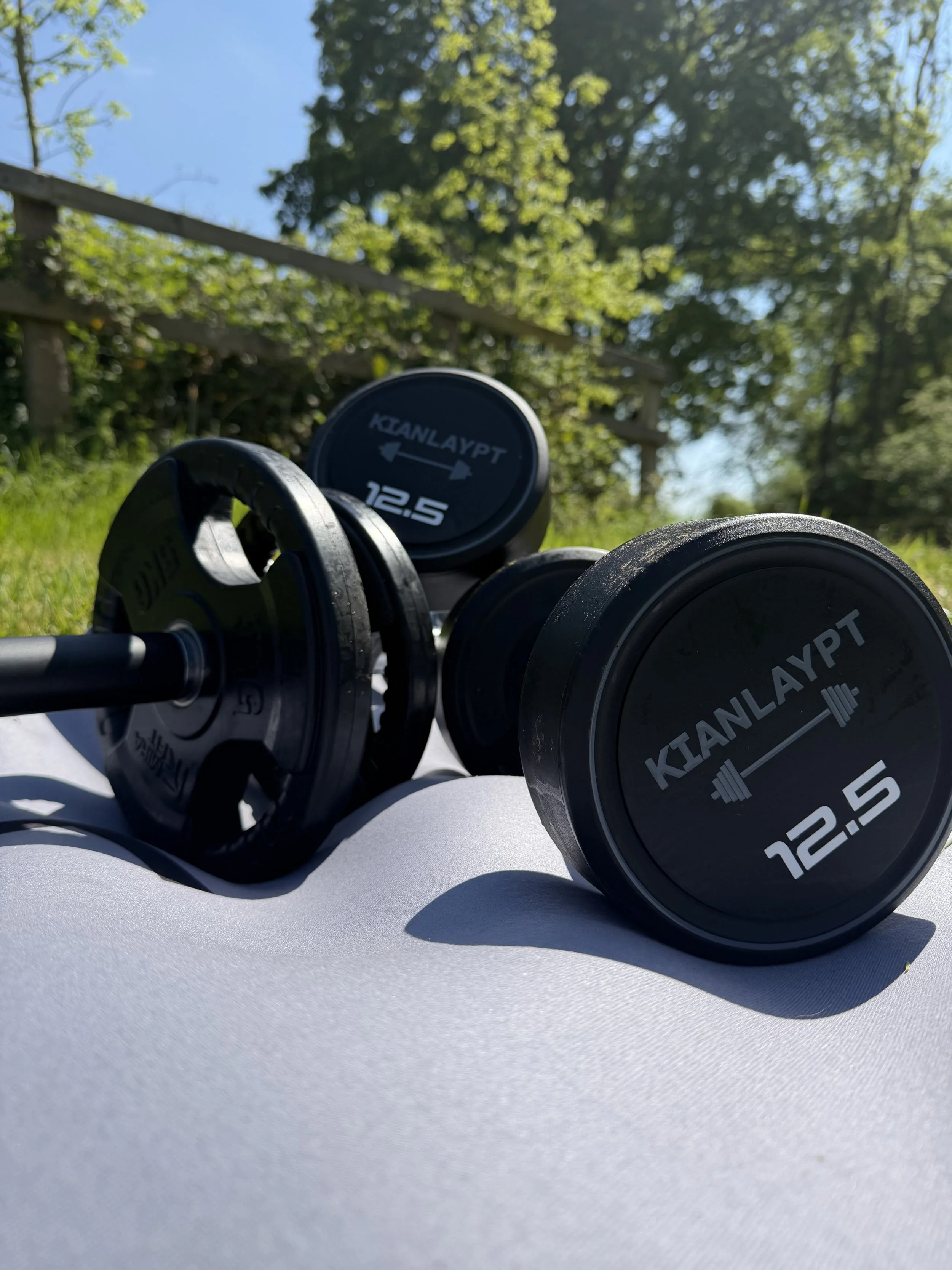 Dumbbells with black weights and a gray surface outdoors with green trees and blue sky in the background.