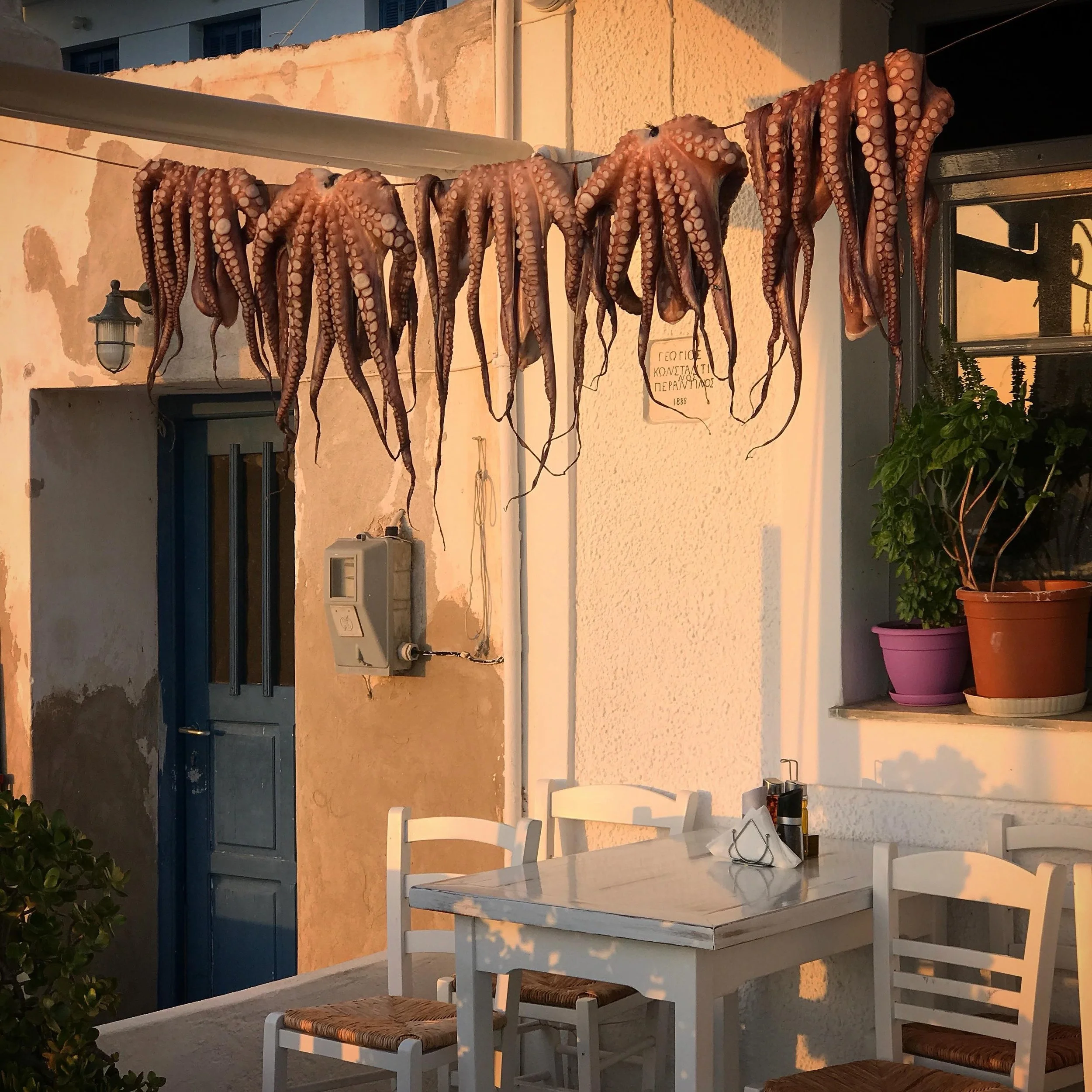 Greece is a culture bound and defined by the sea. From the food to the economy, the sea is everything. Come and find out how that affects life out here.
#aegeantableretreat #greece #culinarytravel #greekfood #november2026