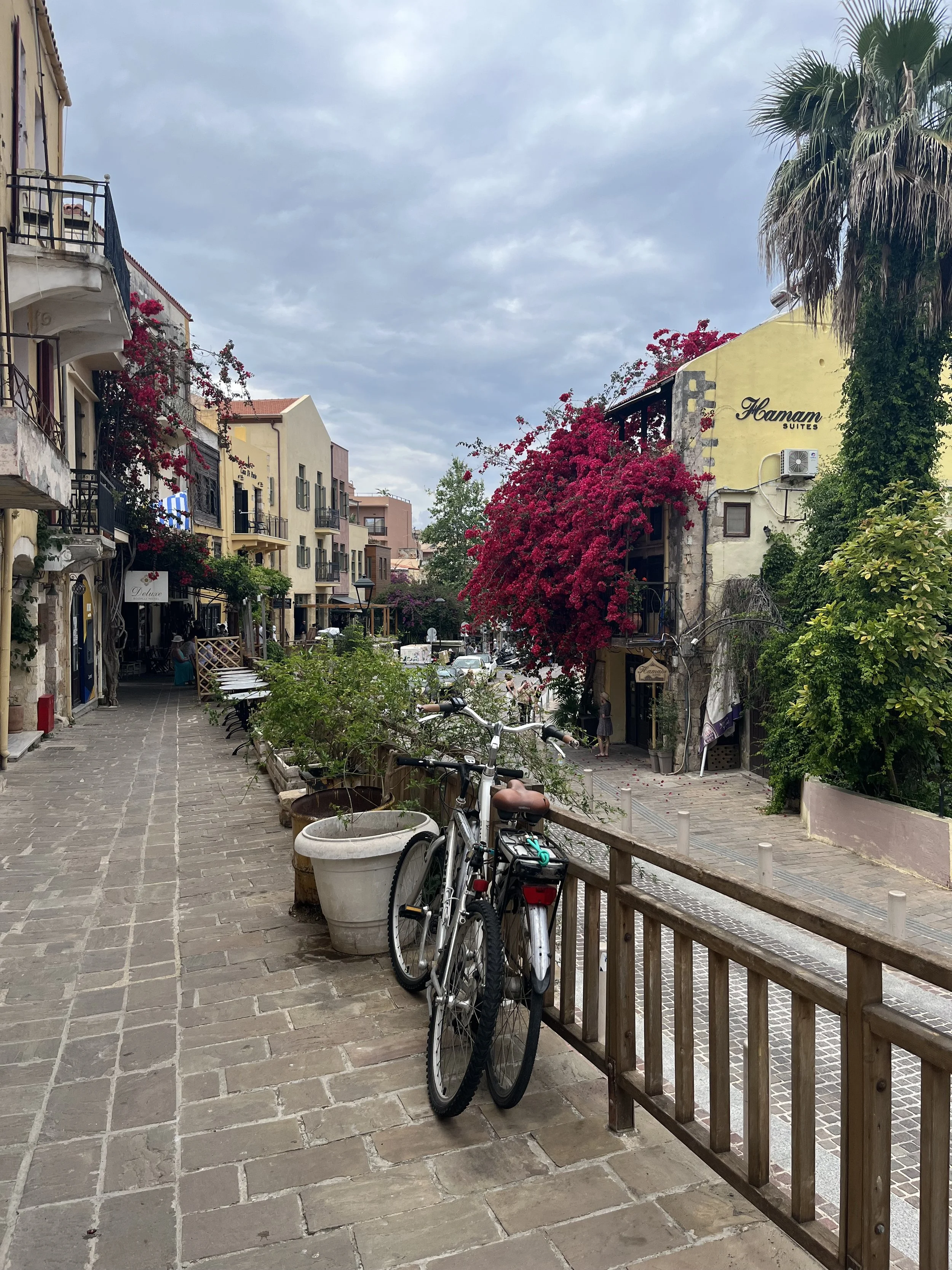 A street scene with bicycles parked near a wooden fence, potted plants, colorful buildings, and vibrant flowers, including a large pink bougainvillea, under a cloudy sky.
