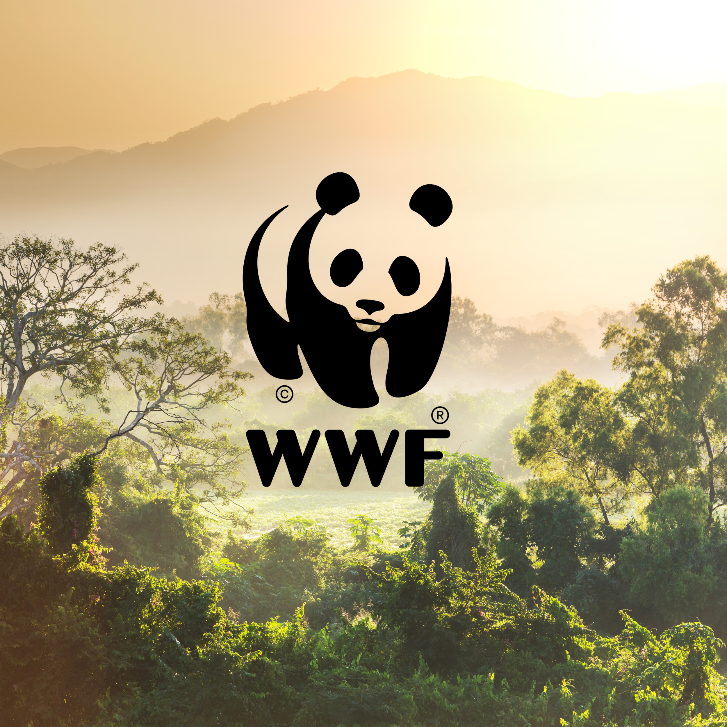 WWF