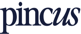 pincusporcelain.com